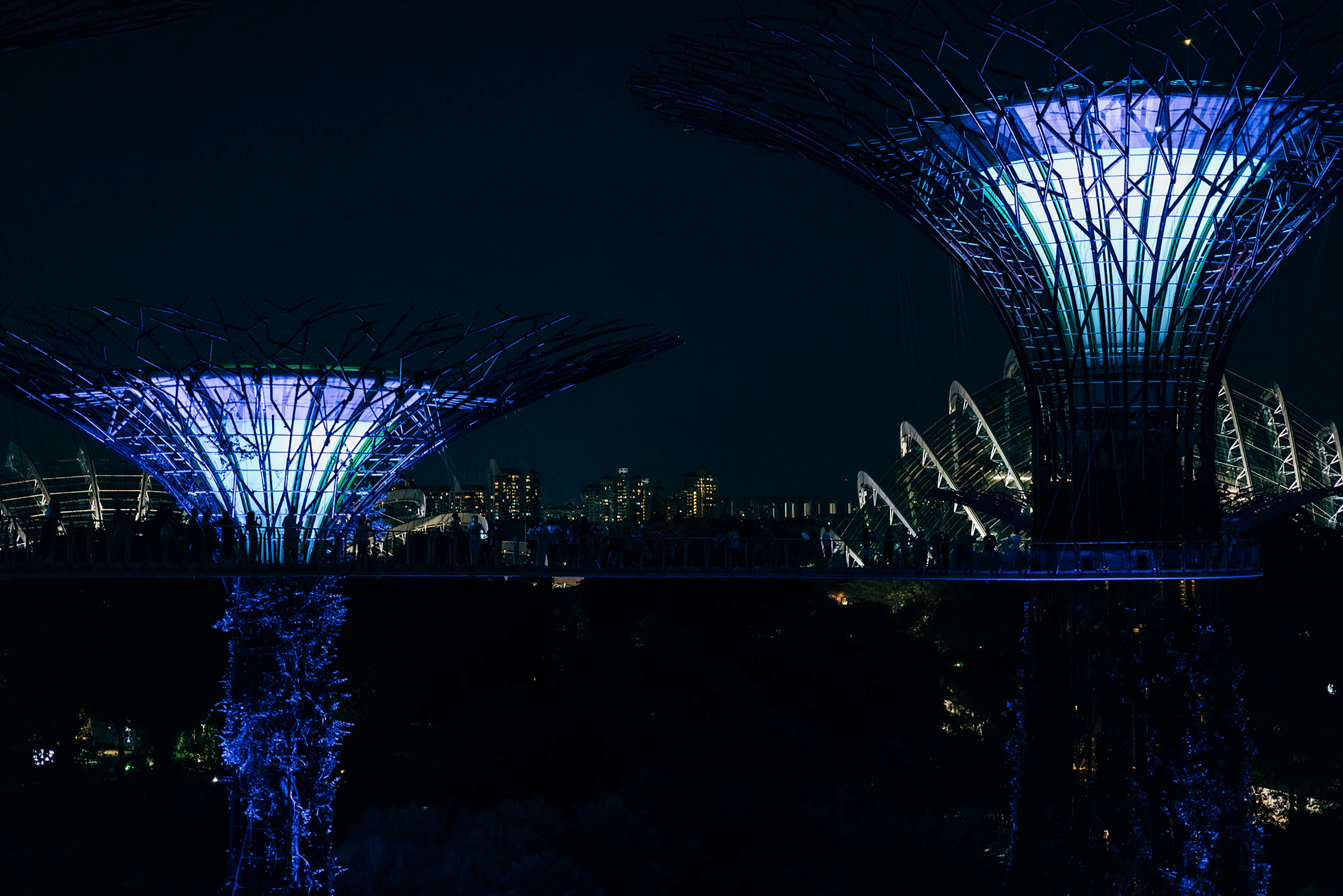 Photo by markuswinkler