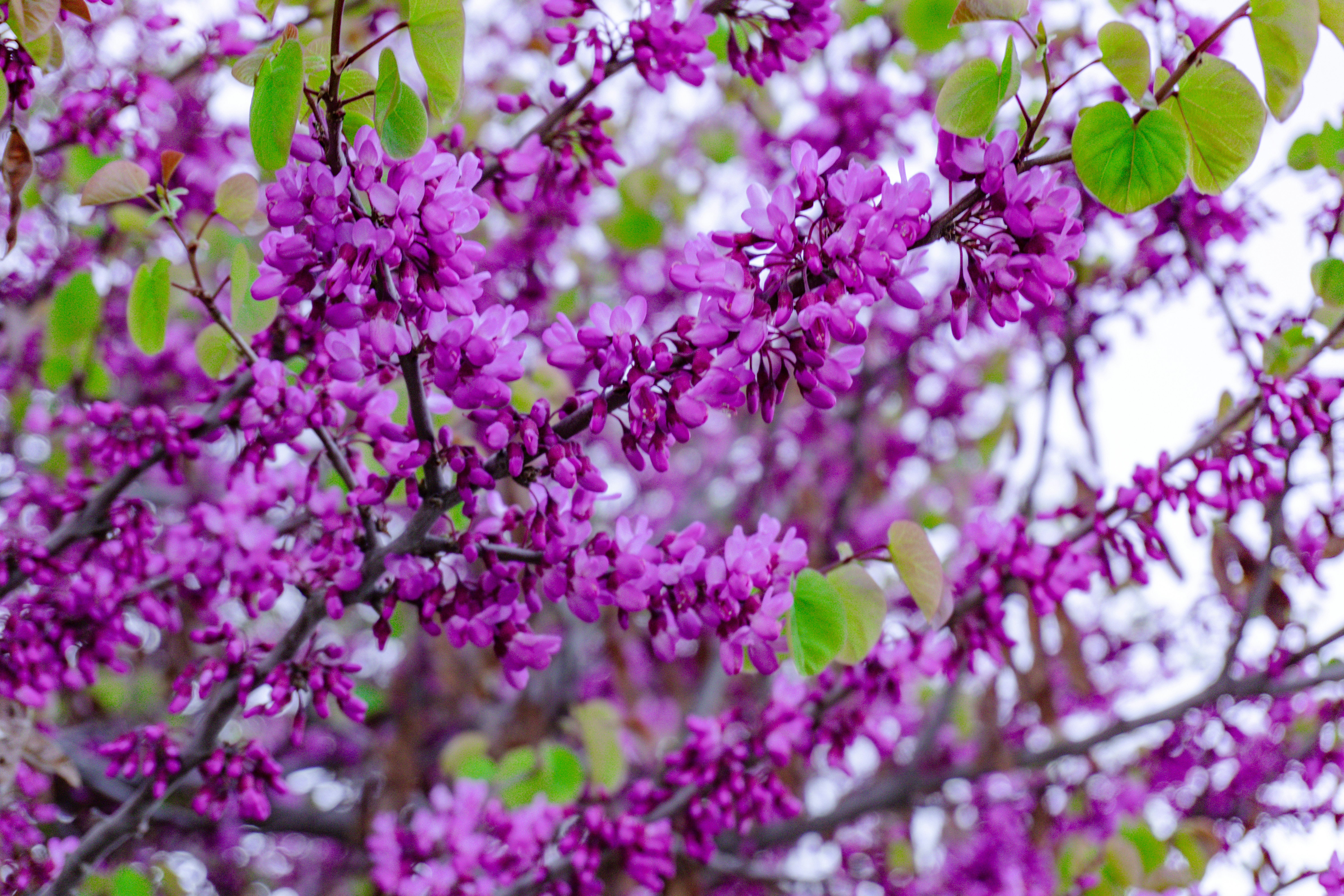 Photo by zulfugarkarimov