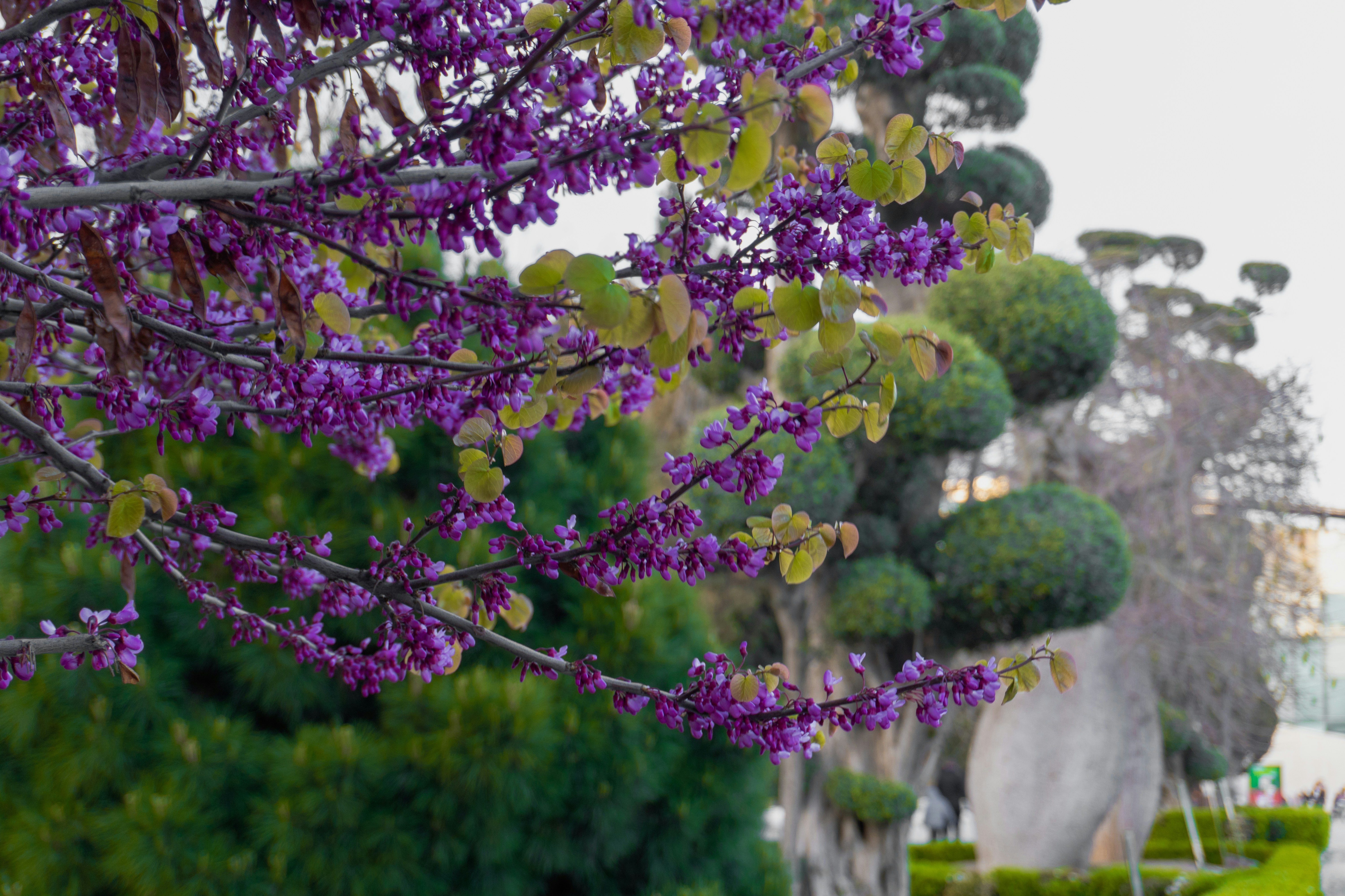 Photo by zulfugarkarimov