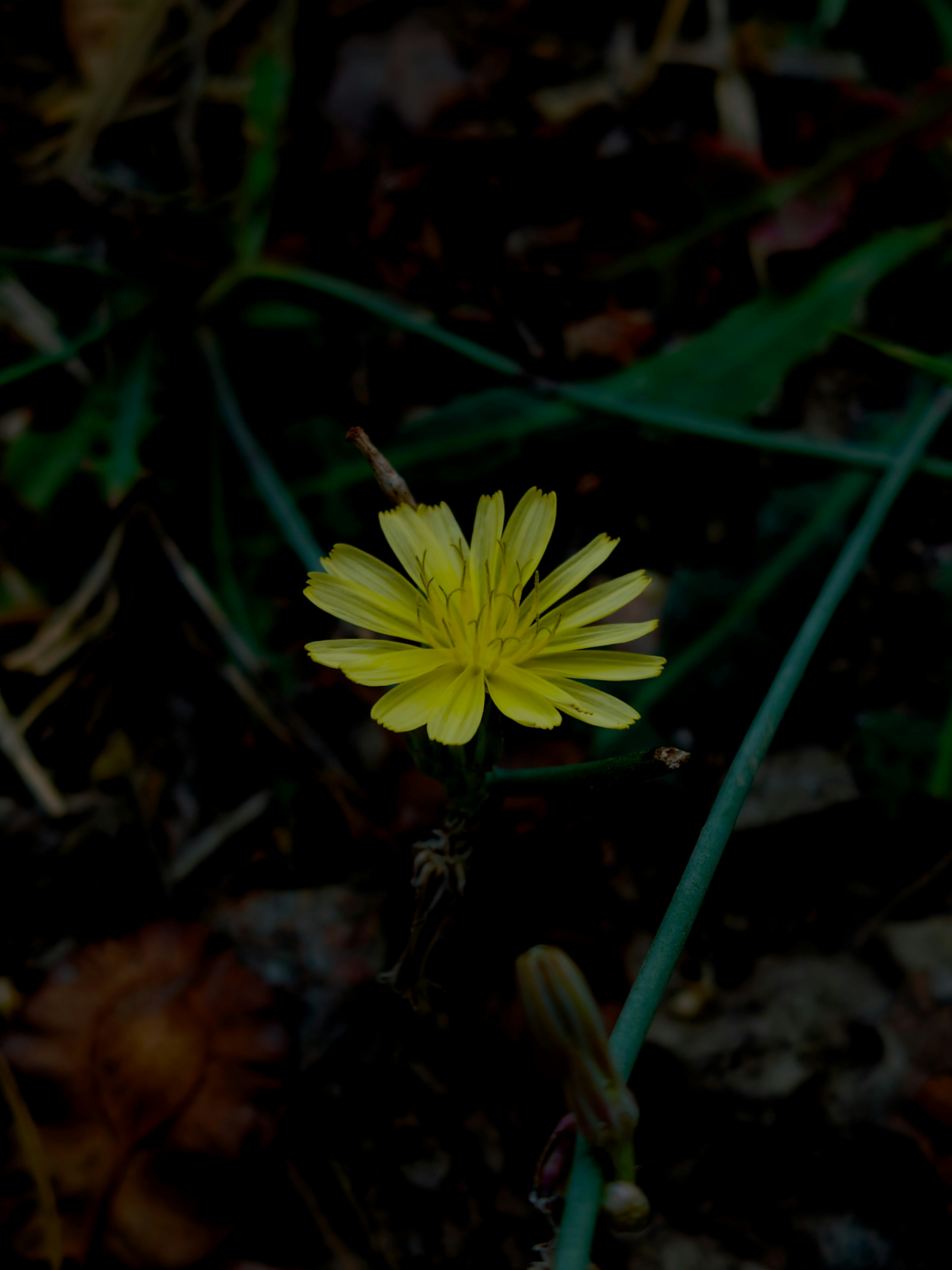 Photo by all_farming_