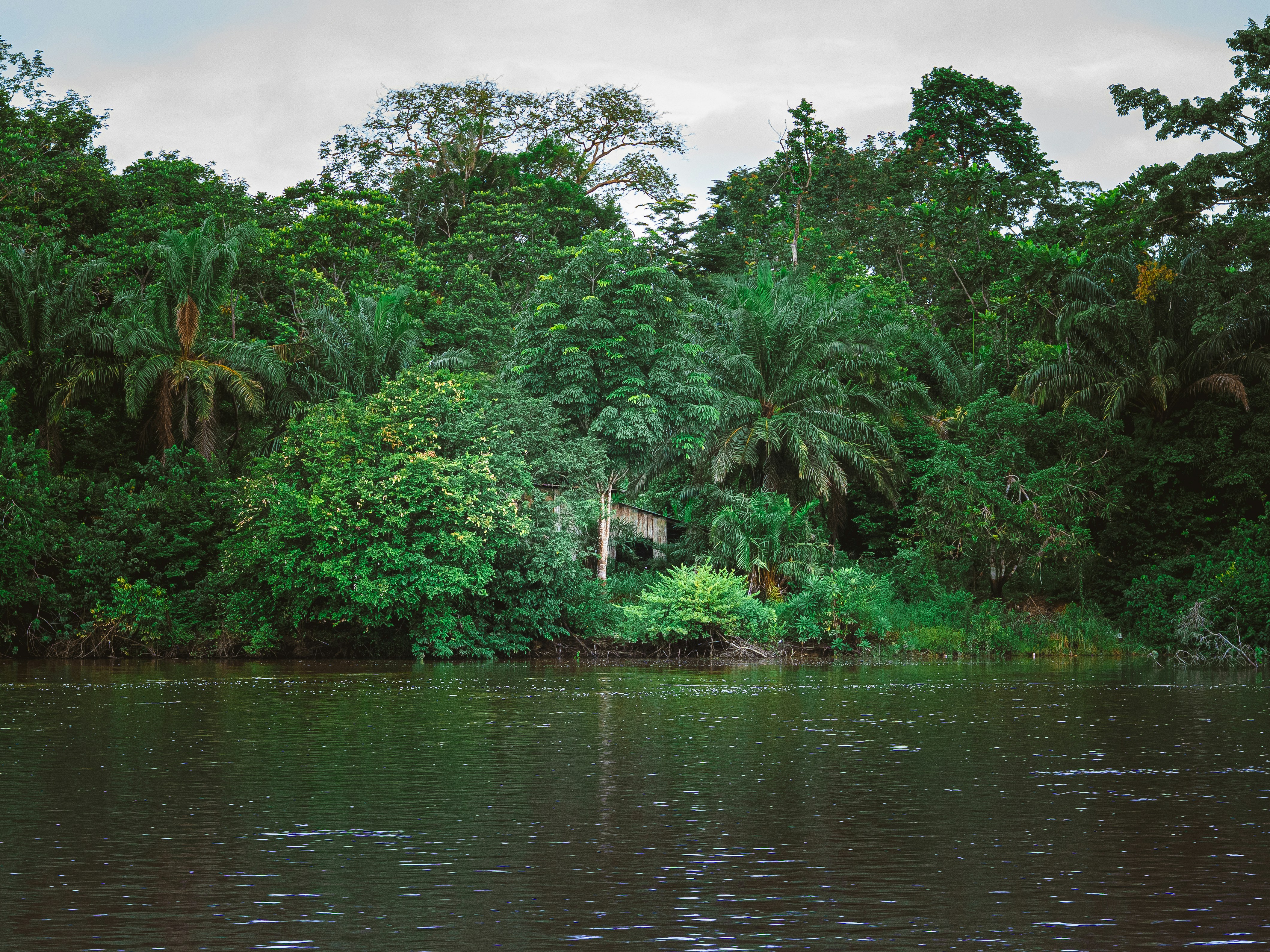 Stay online in the Gabon with a prepaid eSIM from eSIMlii. Instant activation, no roaming charges, and reliable coverage.