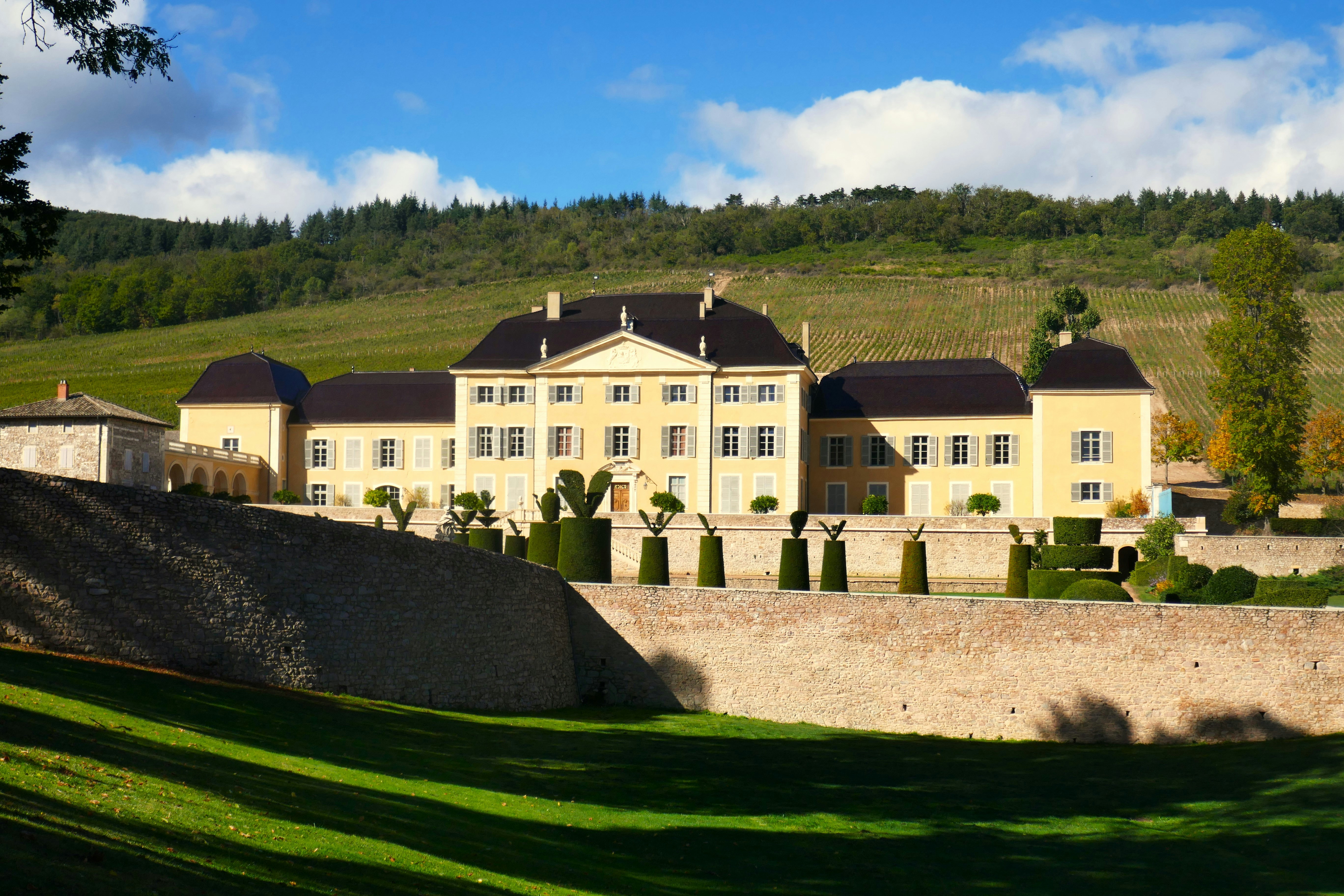 The Best Vineyards and Wineries to Visit in France