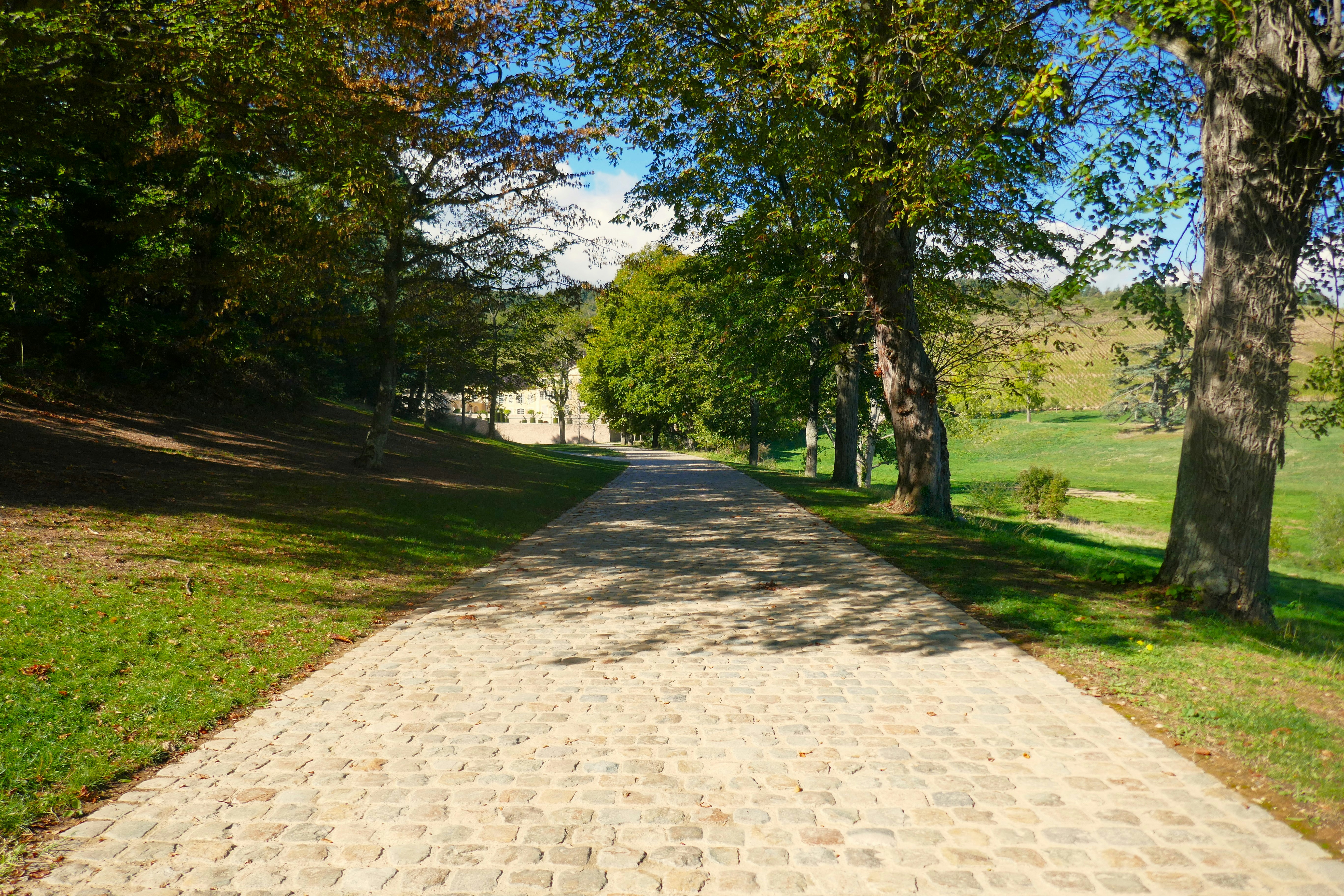 Photo by alexisribeyrecarnetdevoyage