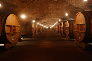 Tonneau de vin domaine et dégustation du Beaujolais