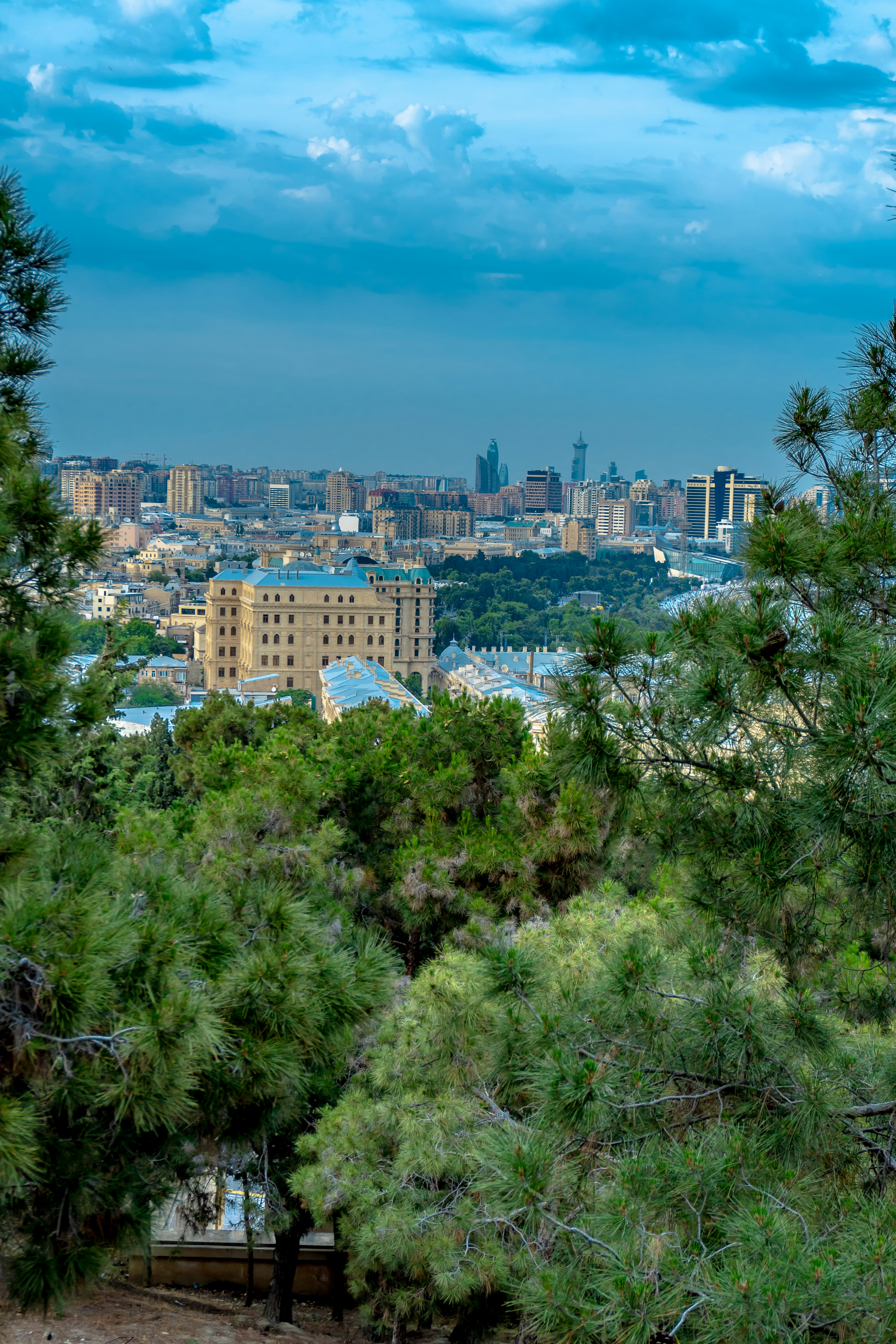 View of a cityscape through lush green trees.