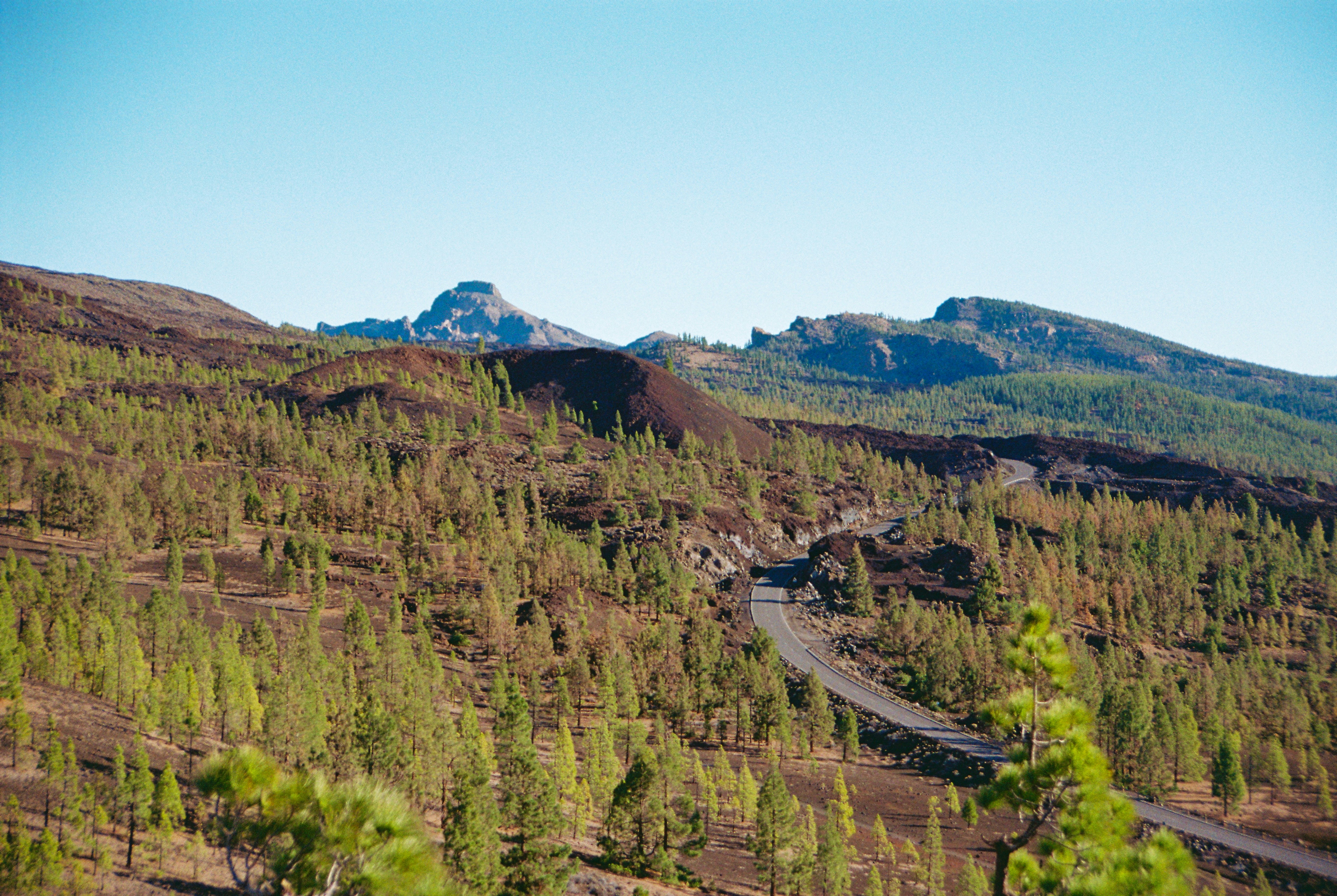 A winding road through a forested landscape.