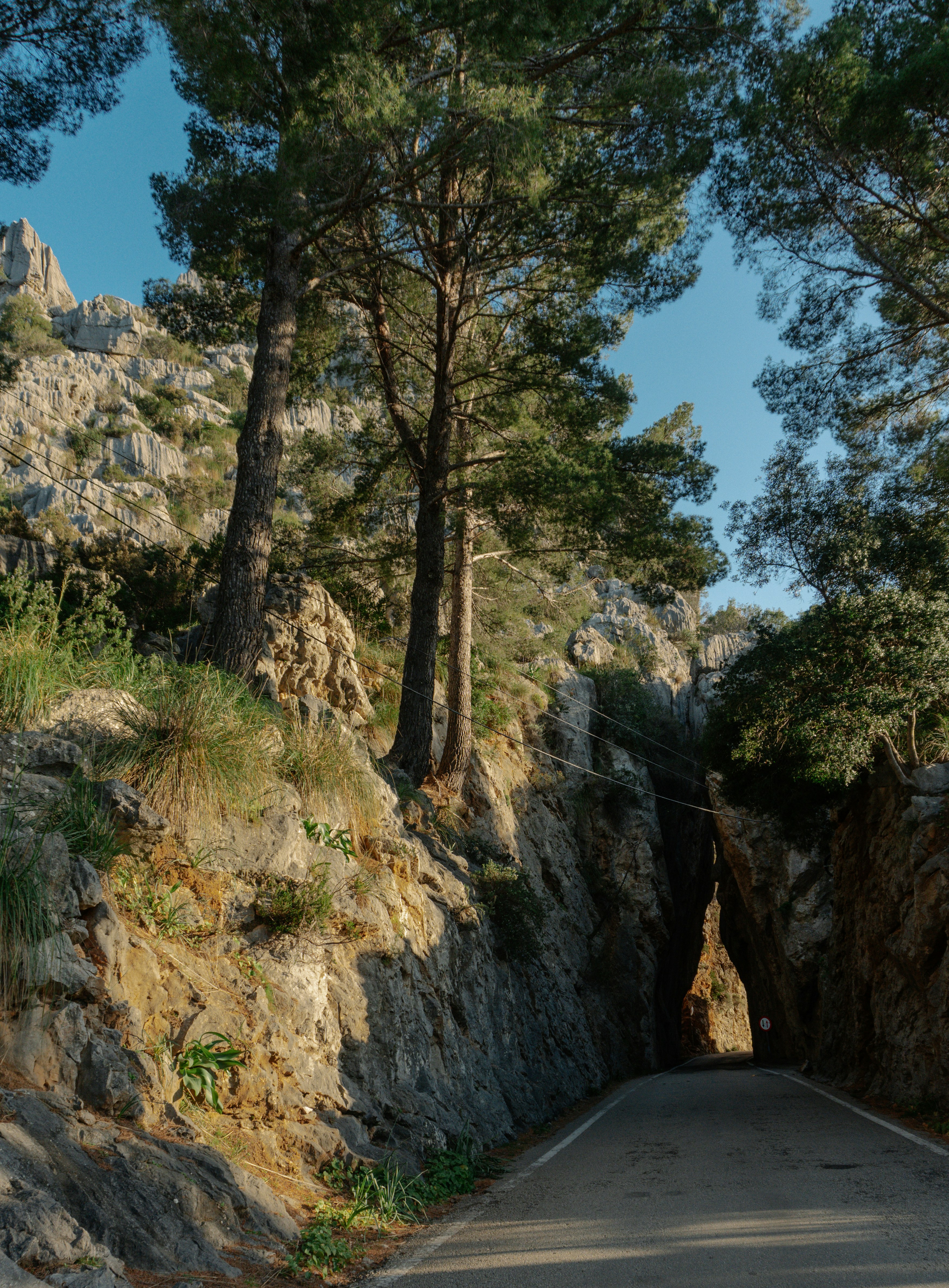 Photo by raymondpetrik