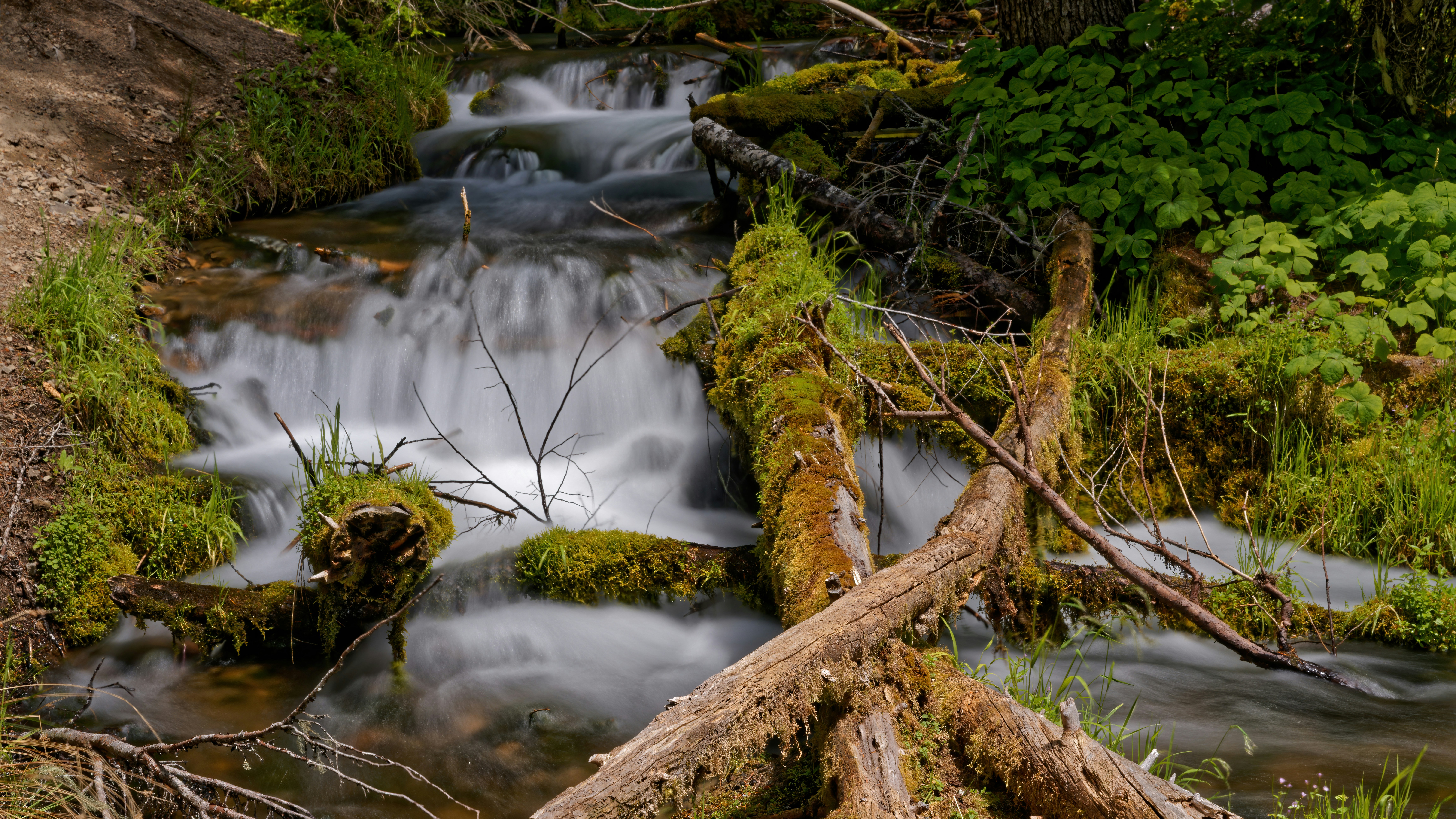 Photo by patrickbigelow_zoom_in