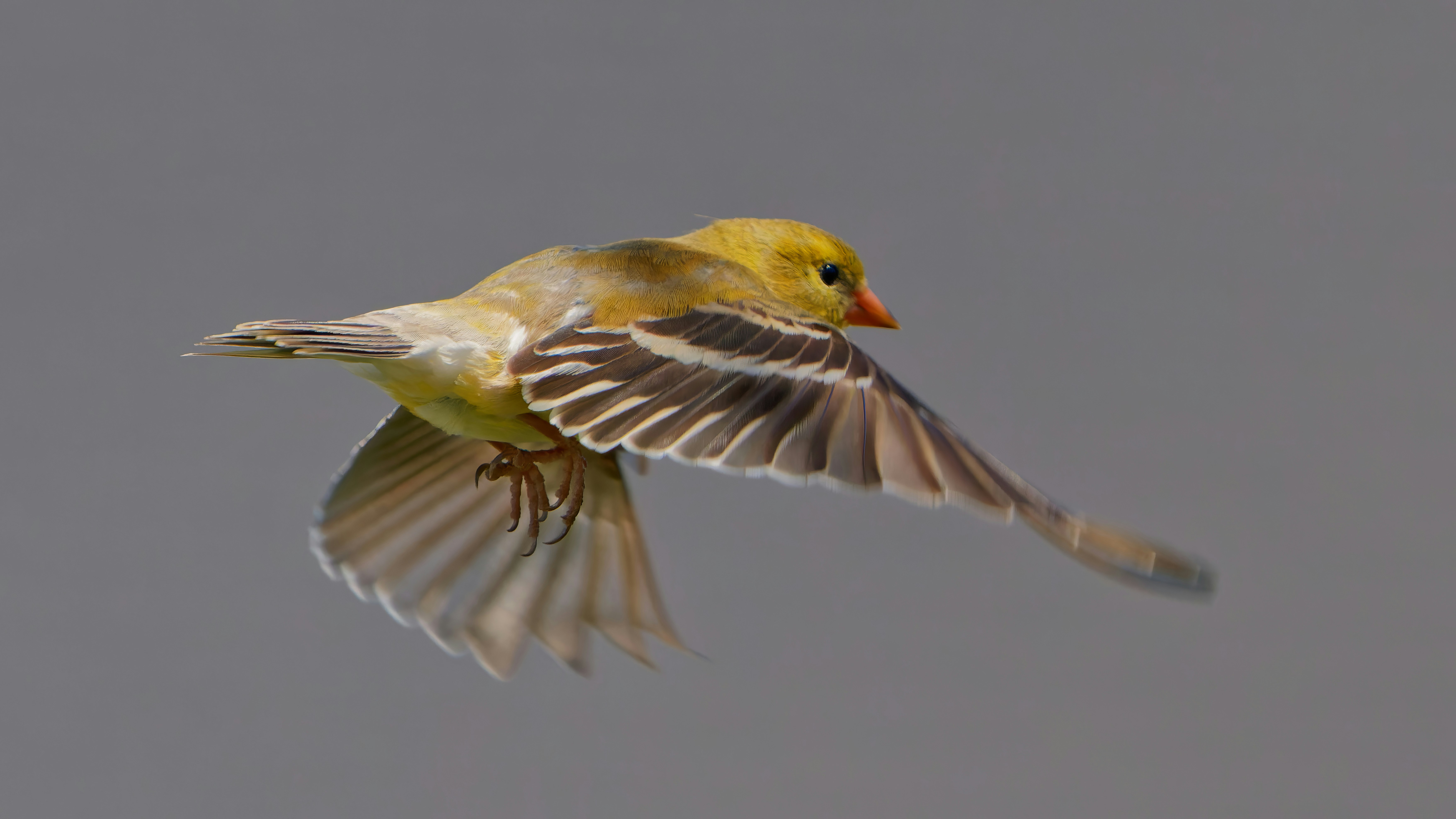 Photo by patrickbigelow_zoom_in