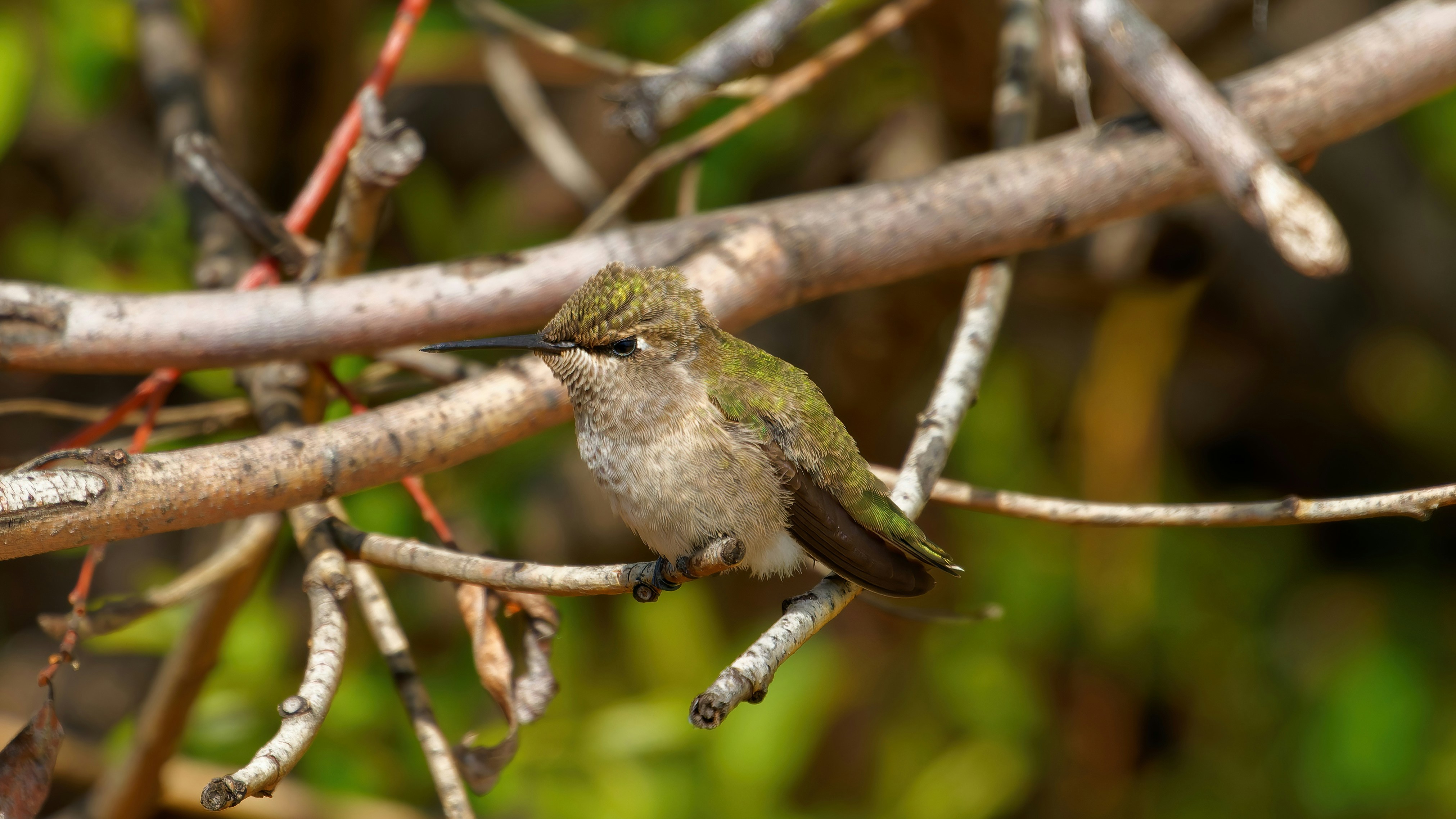 Photo by patrickbigelow_zoom_in