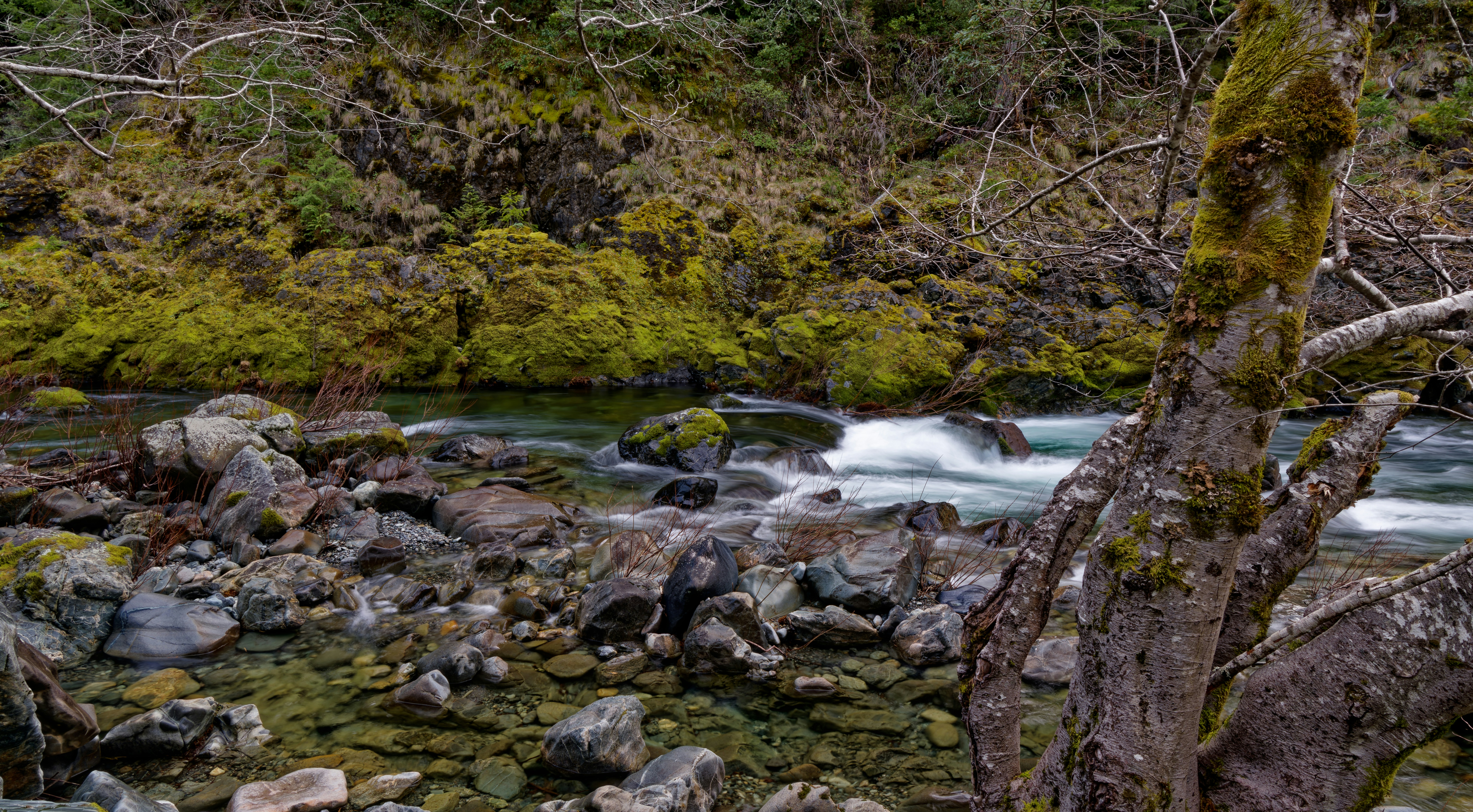 Photo by patrickbigelow_zoom_in