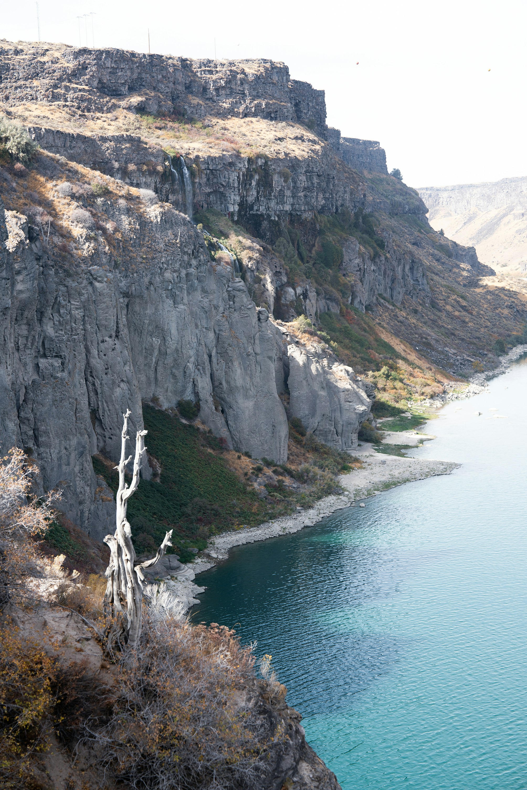 Photo by busybeeandgreentea