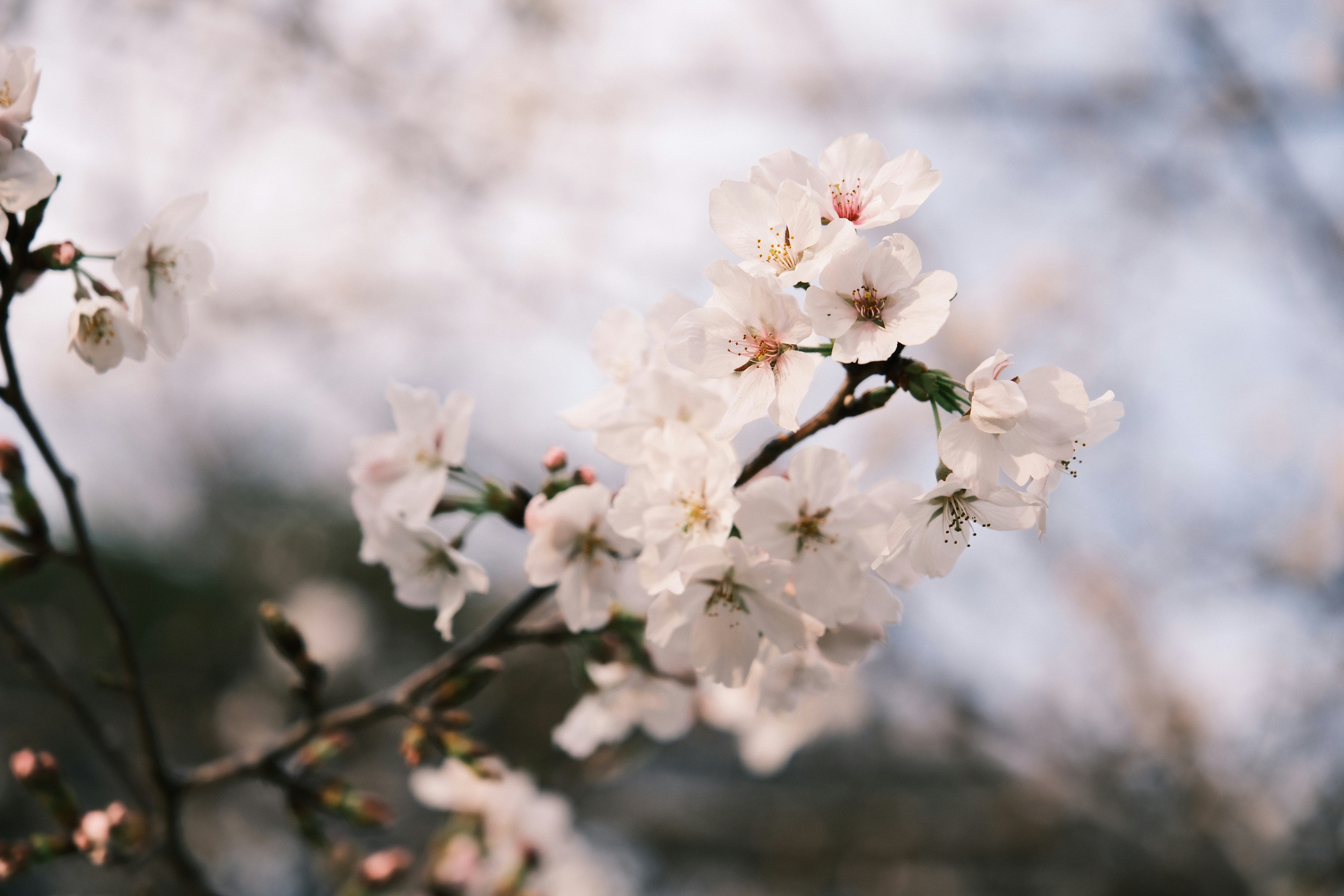 Photo by ultratunafish