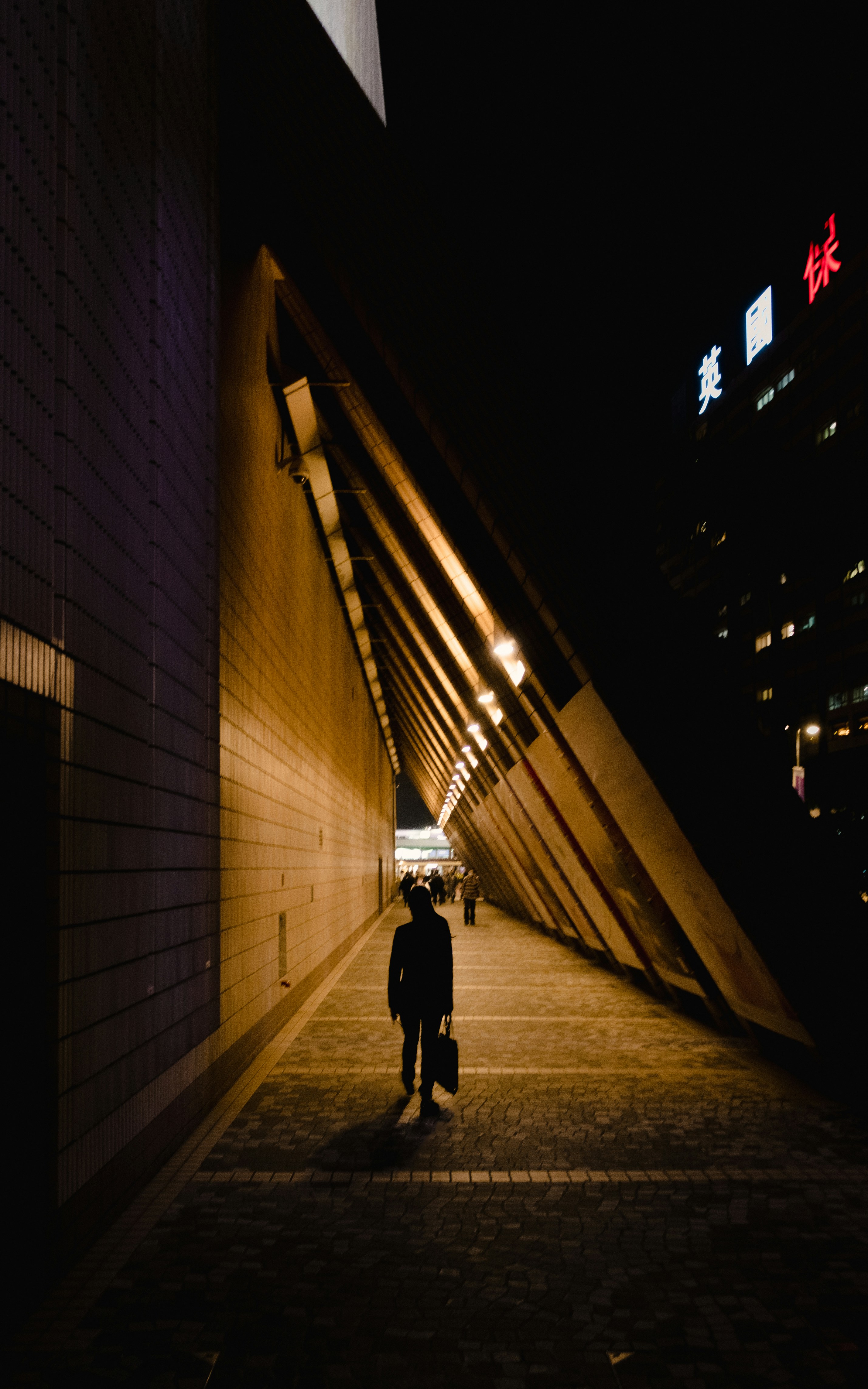 Photo by catgirlmutant