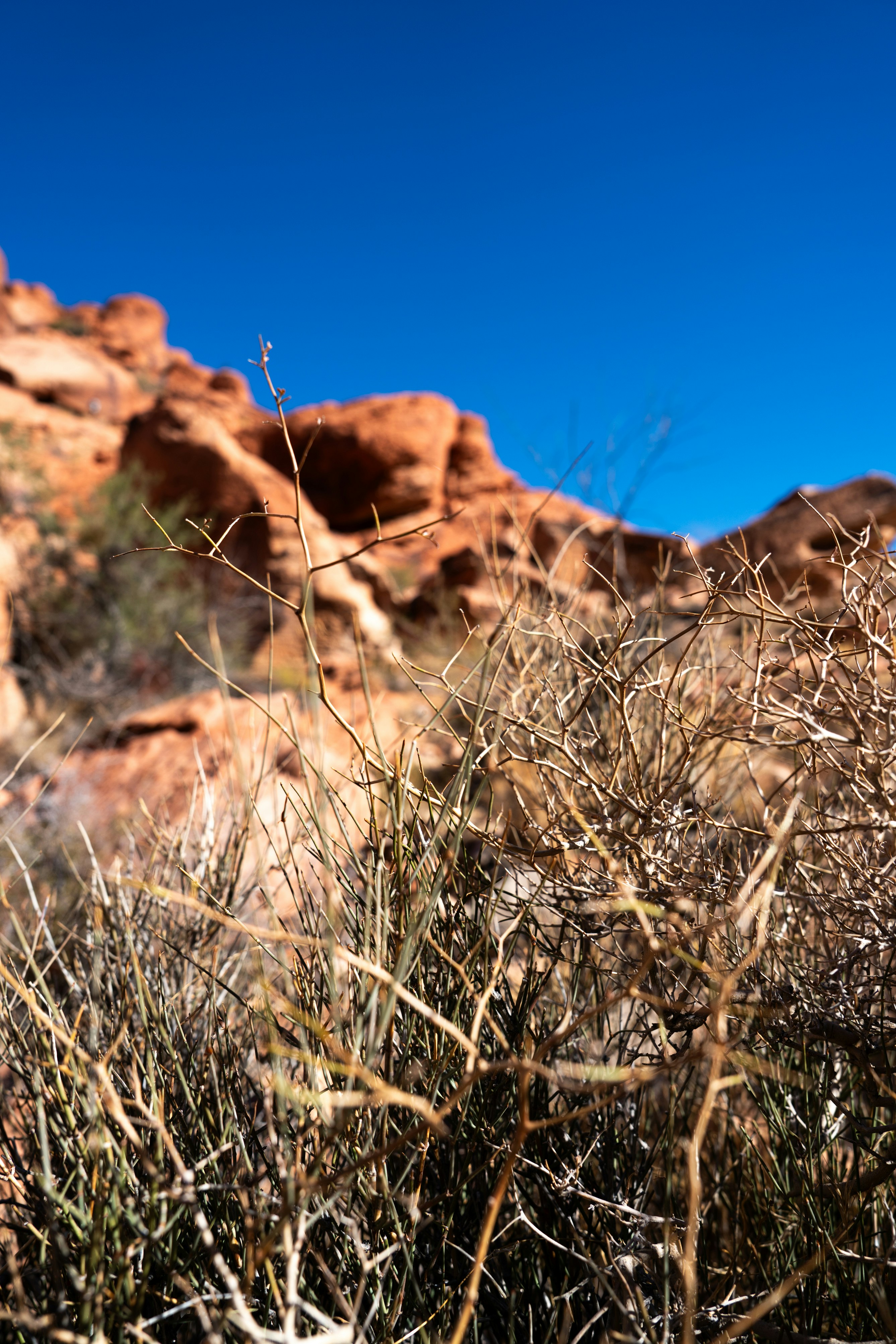 Photo by busybeeandgreentea