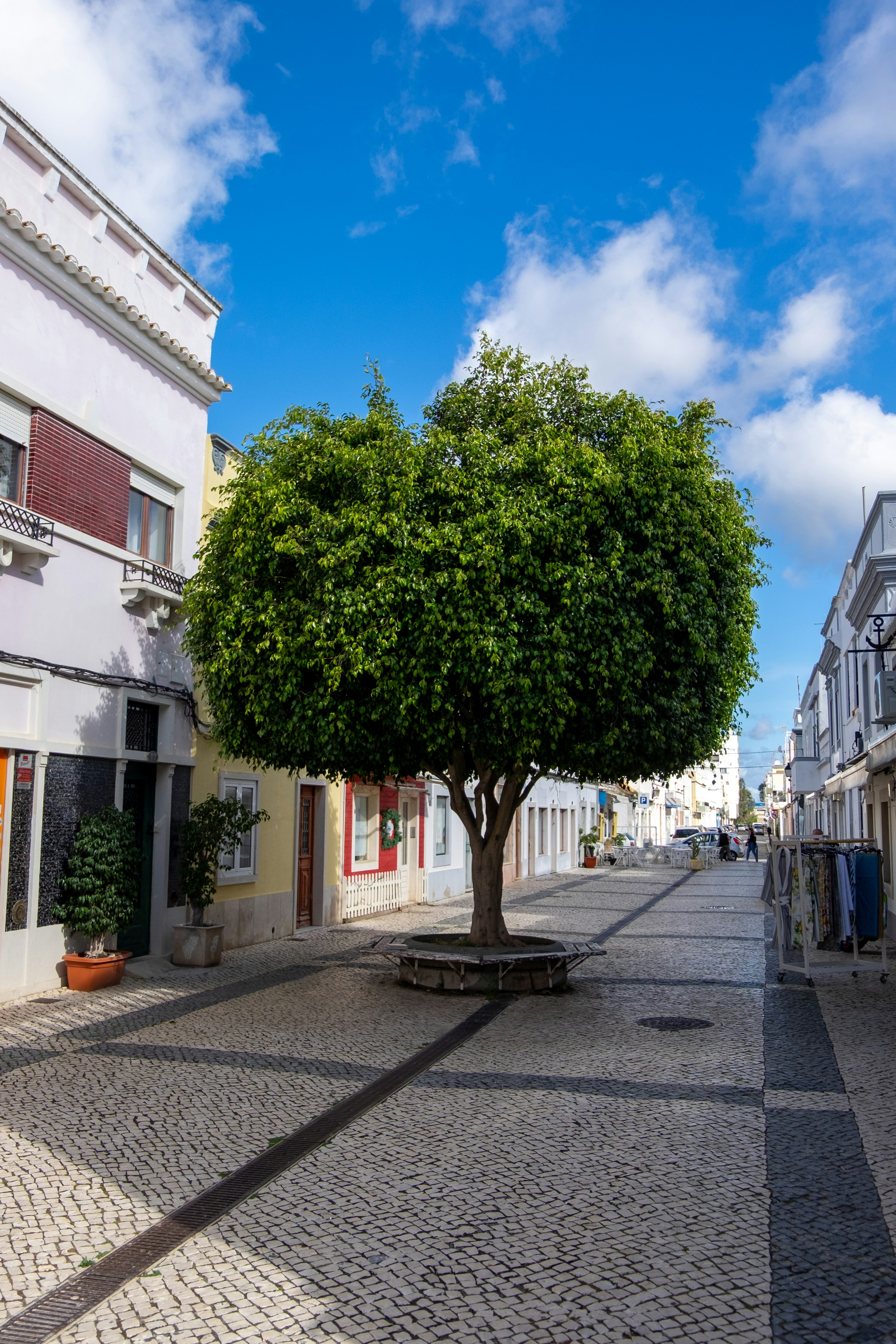 Photo by gunnarridder