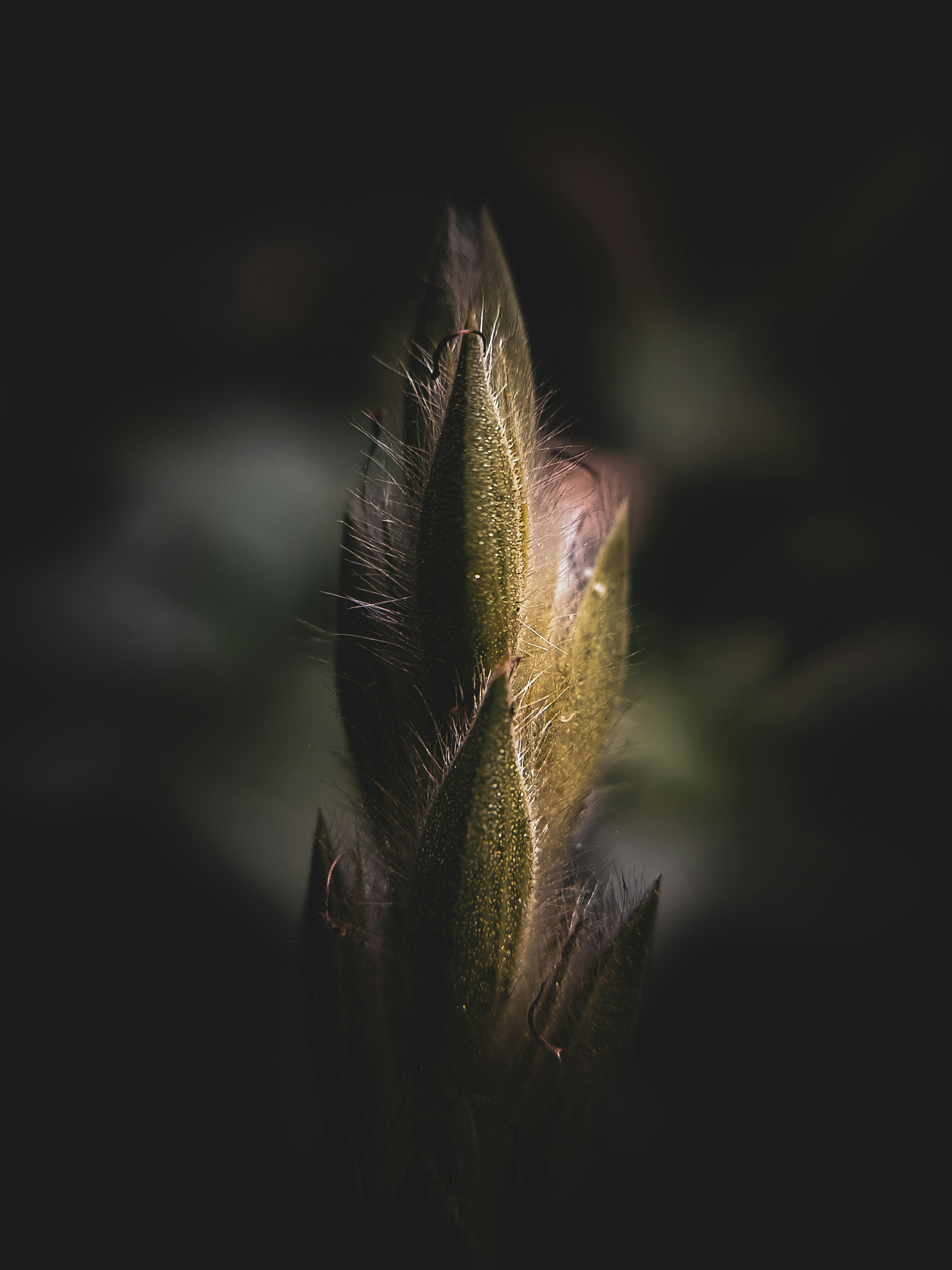 Photo by kristinemaemillano