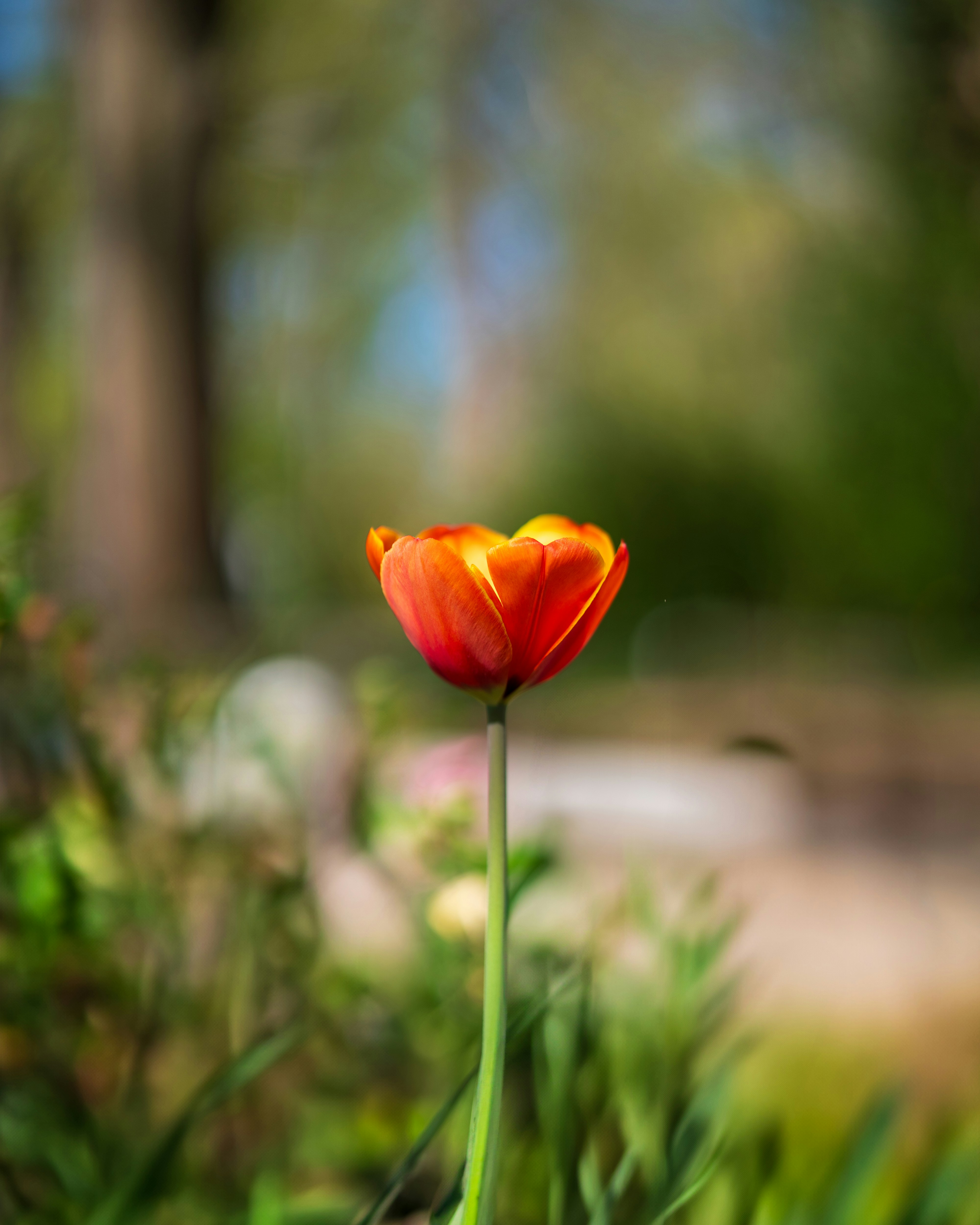 Photo by bangscreative