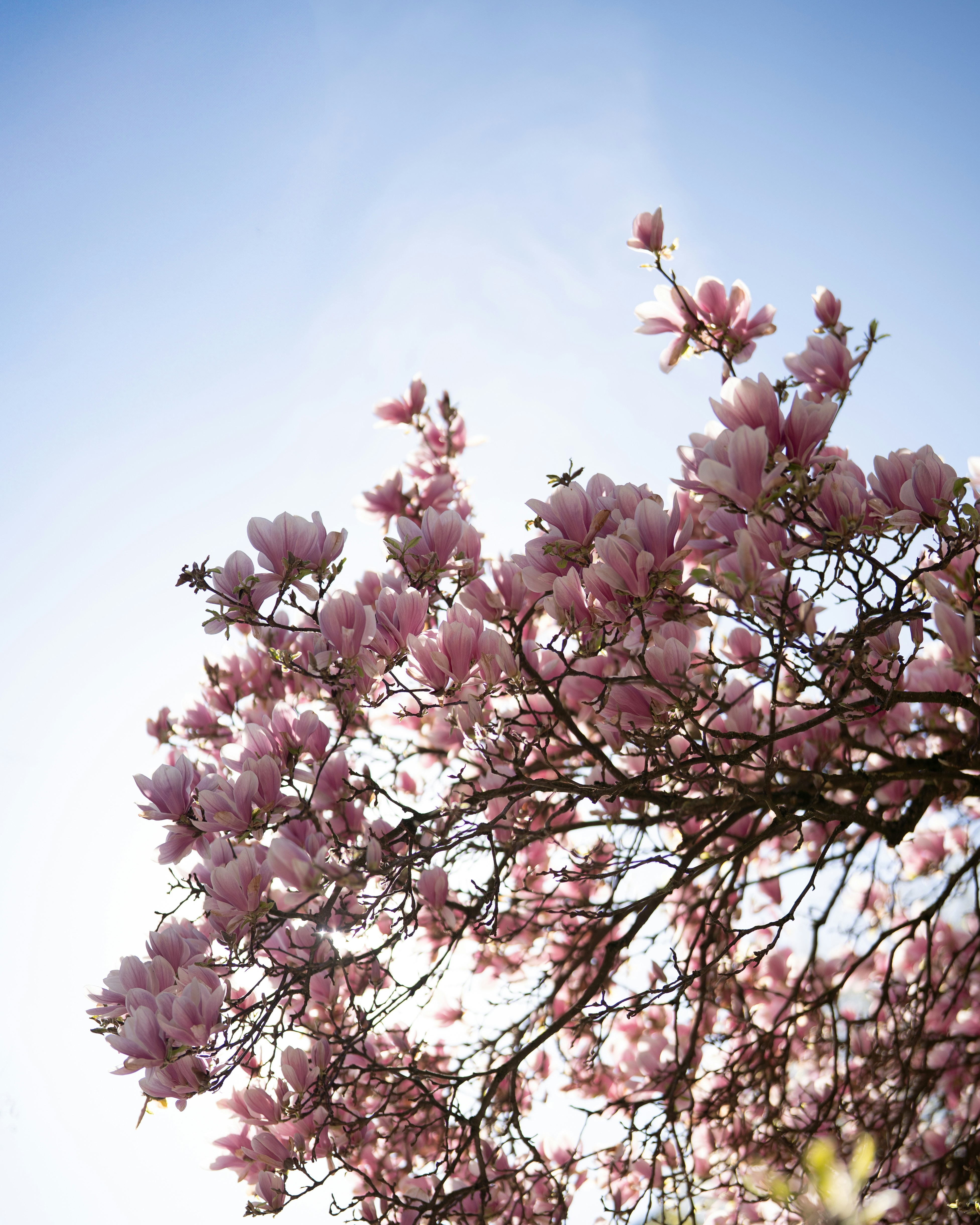 Photo by bangscreative