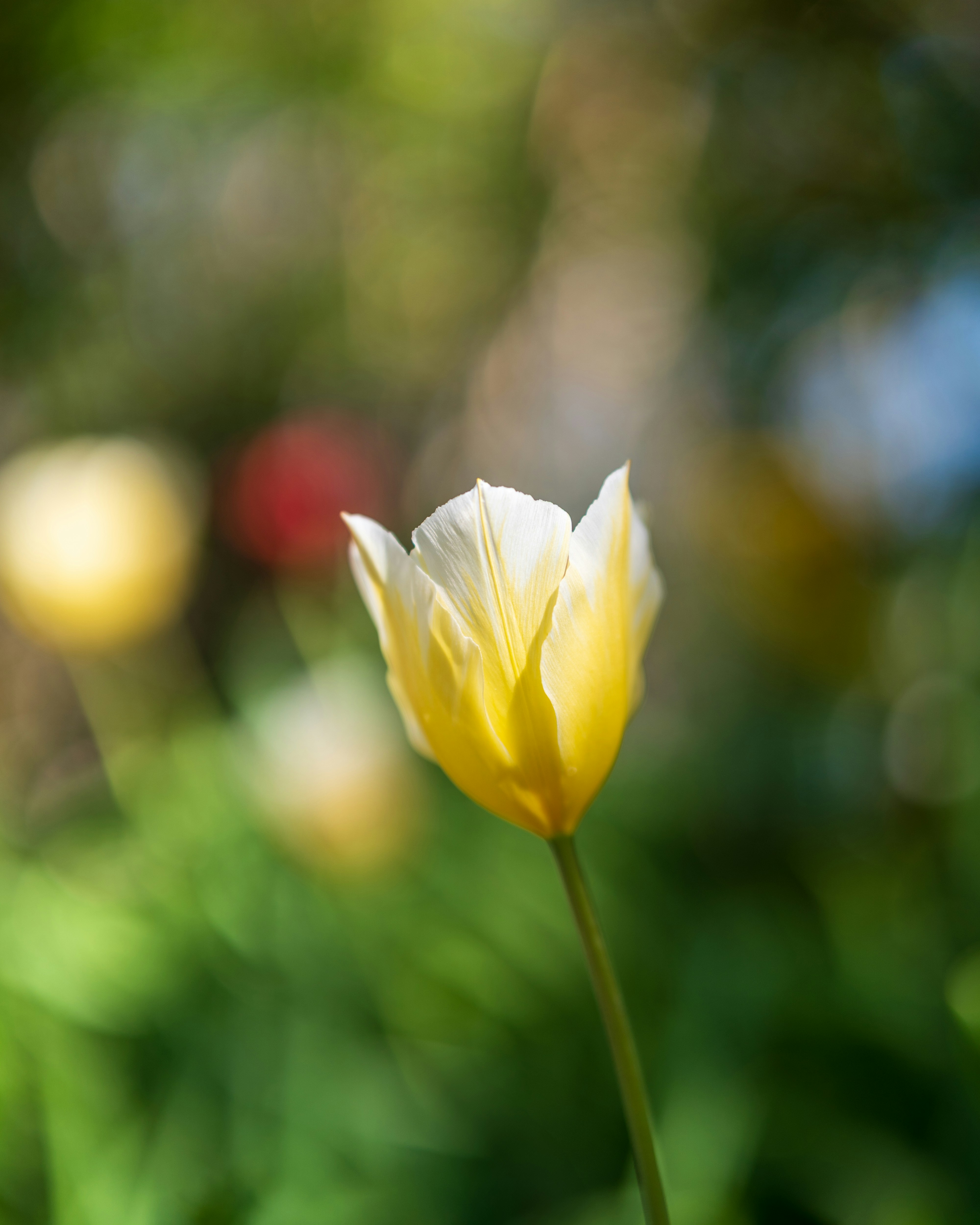 Photo by bangscreative