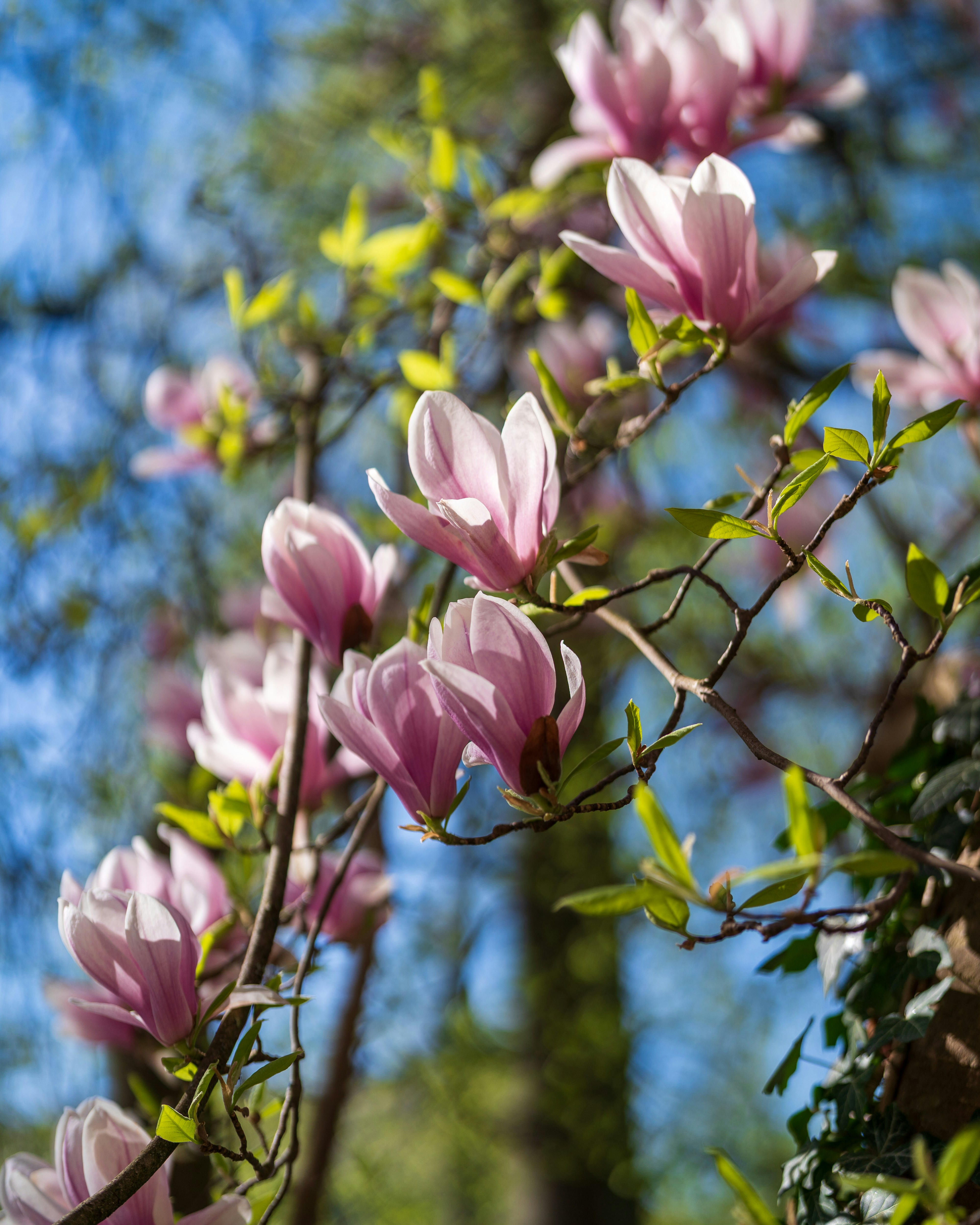 Photo by bangscreative