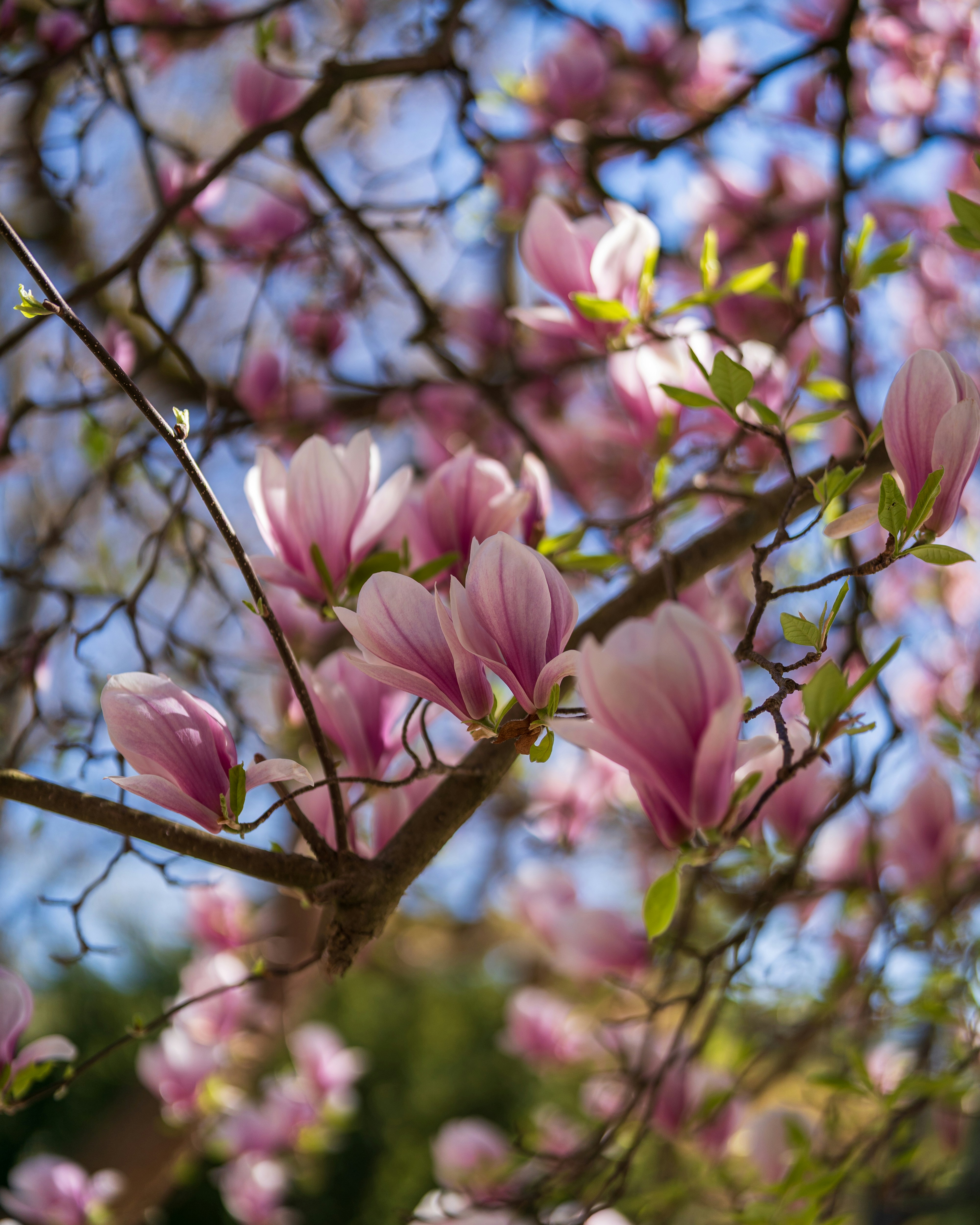 Photo by bangscreative