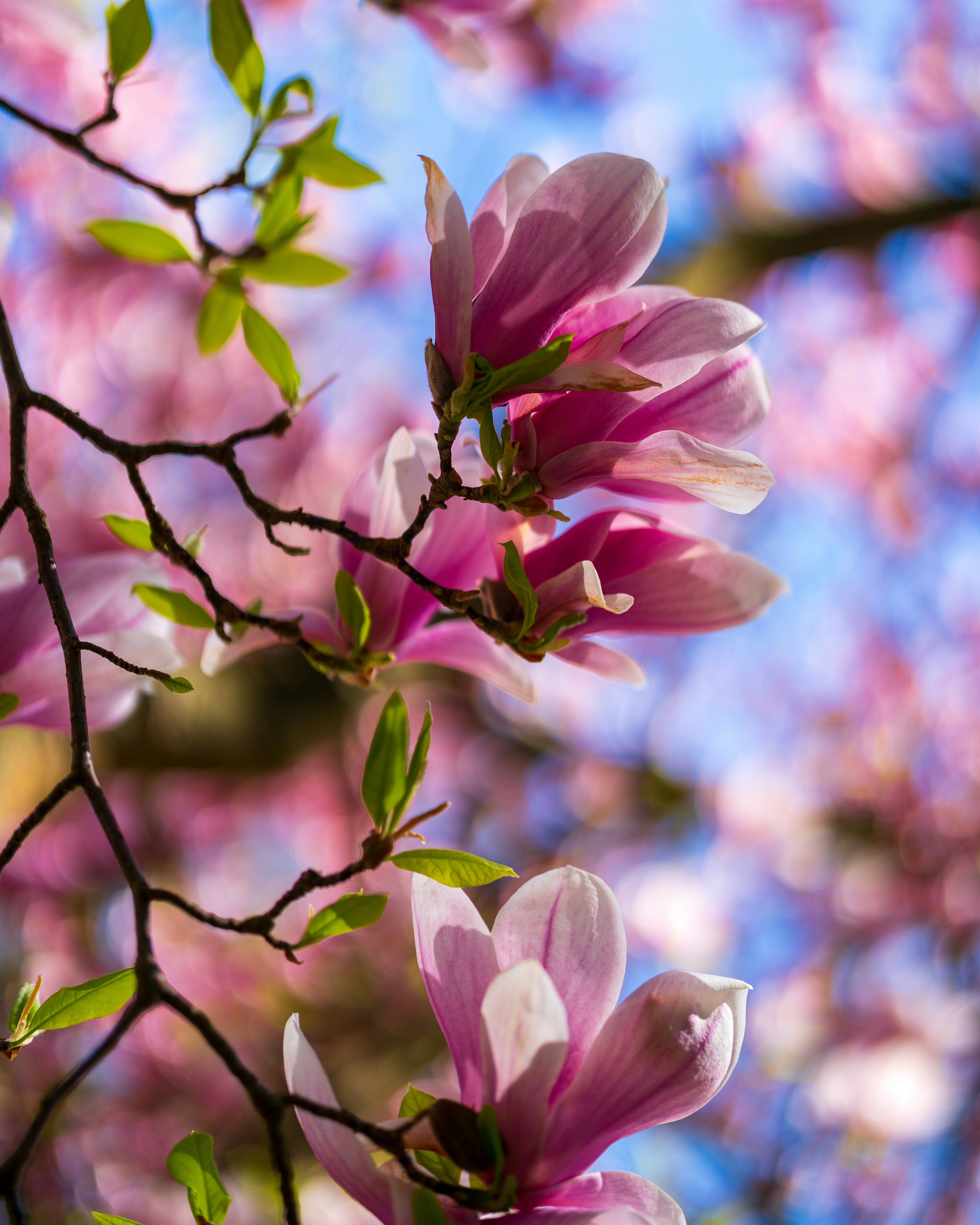 Photo by bangscreative