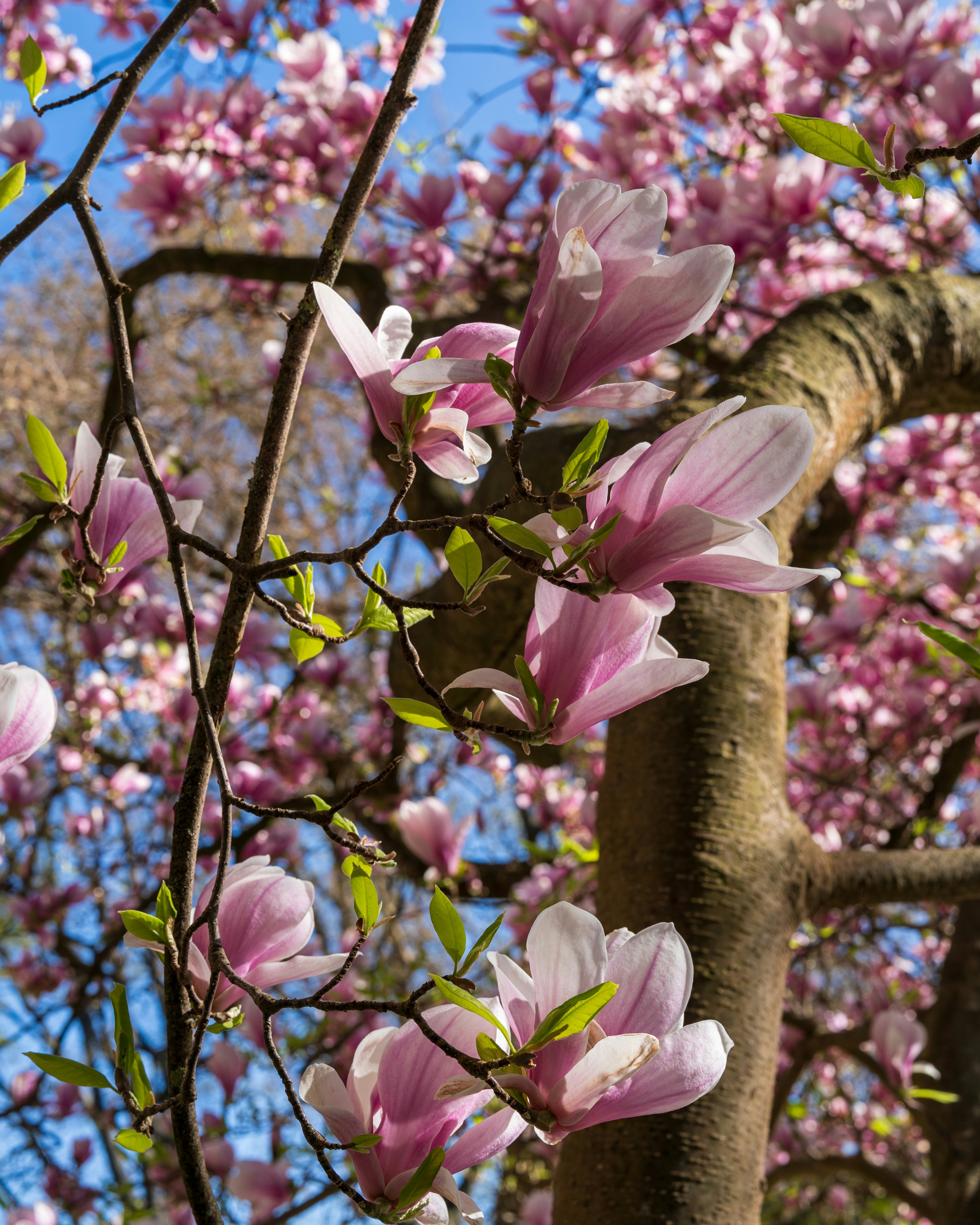 Photo by bangscreative