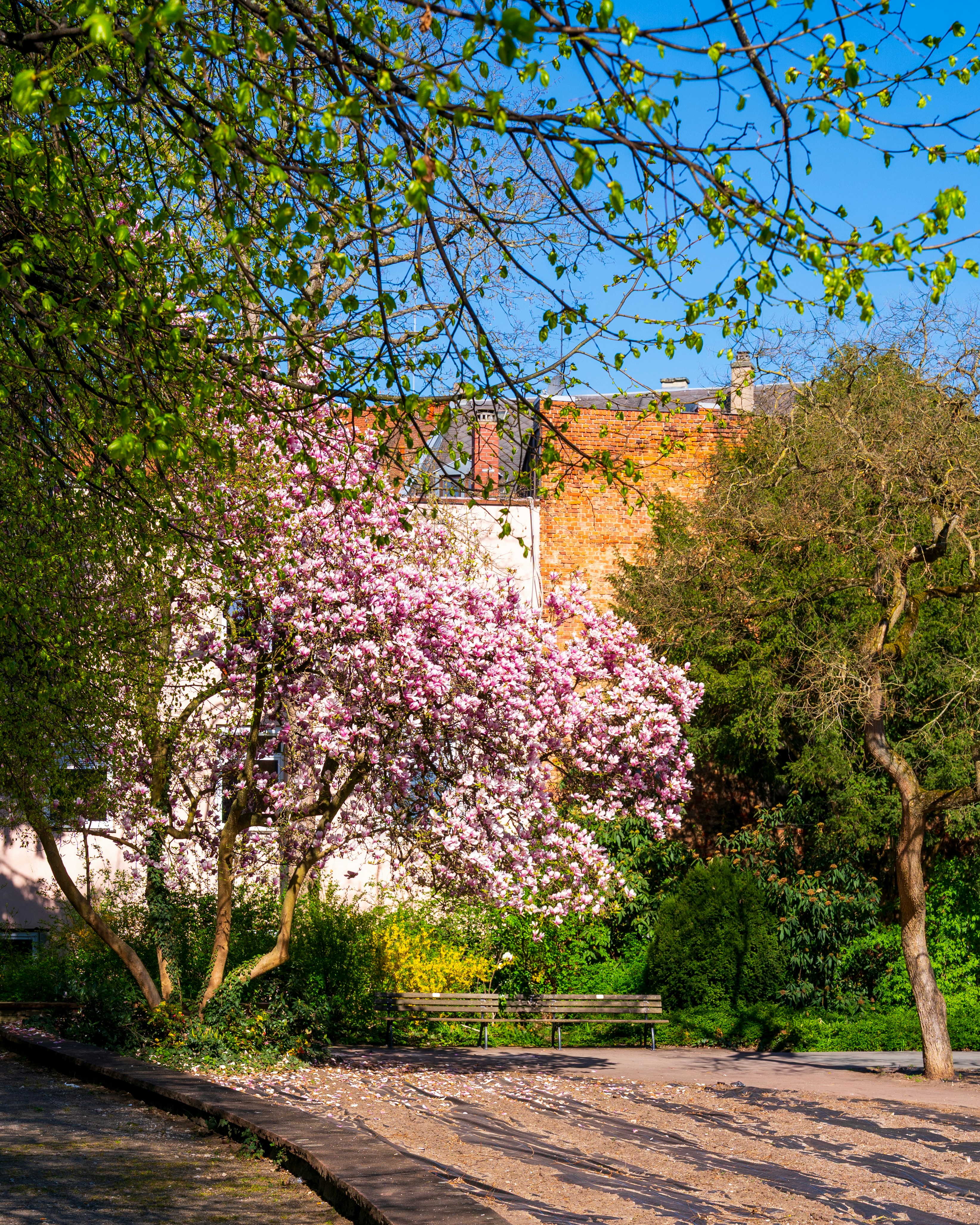 Photo by bangscreative