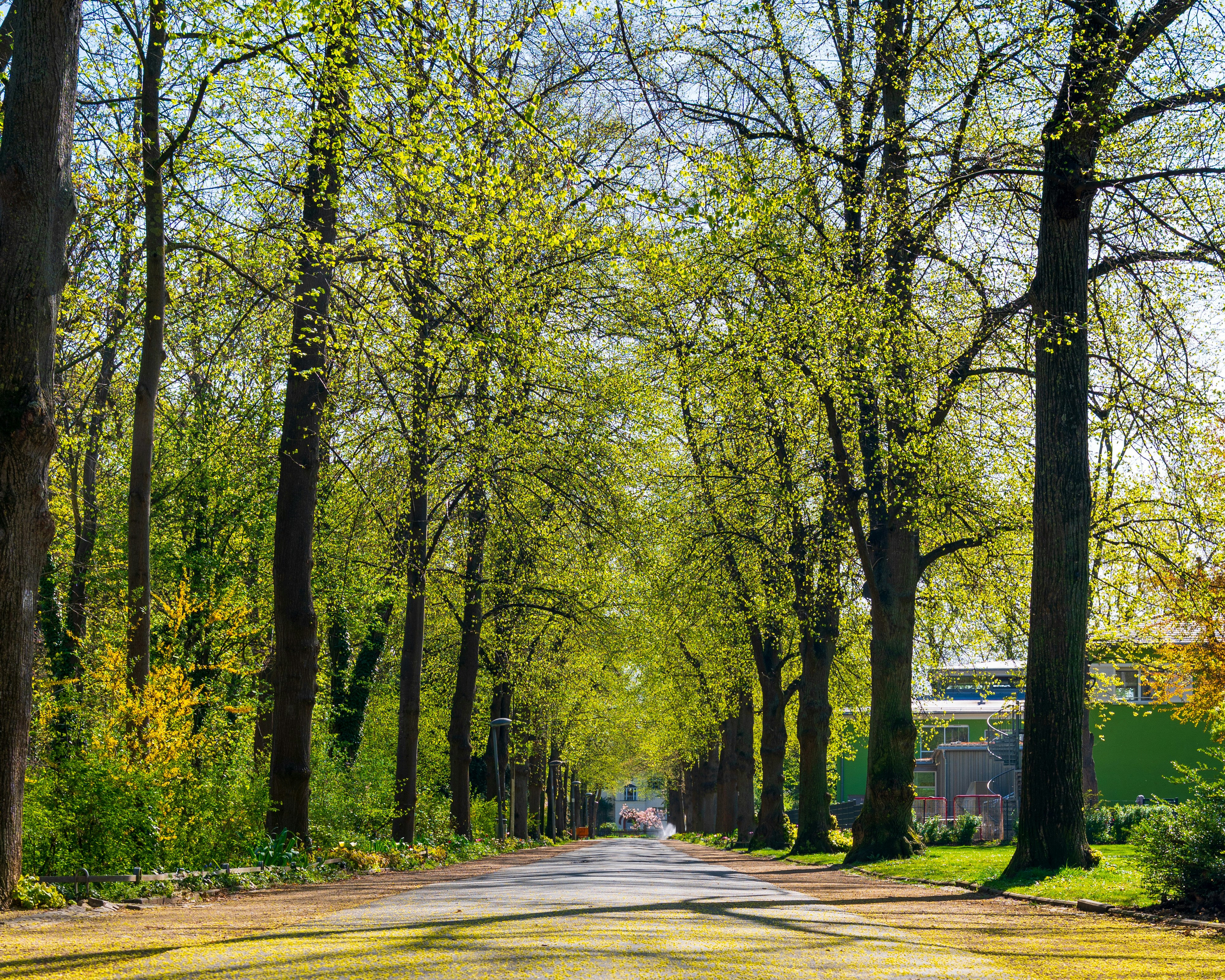 Photo by bangscreative