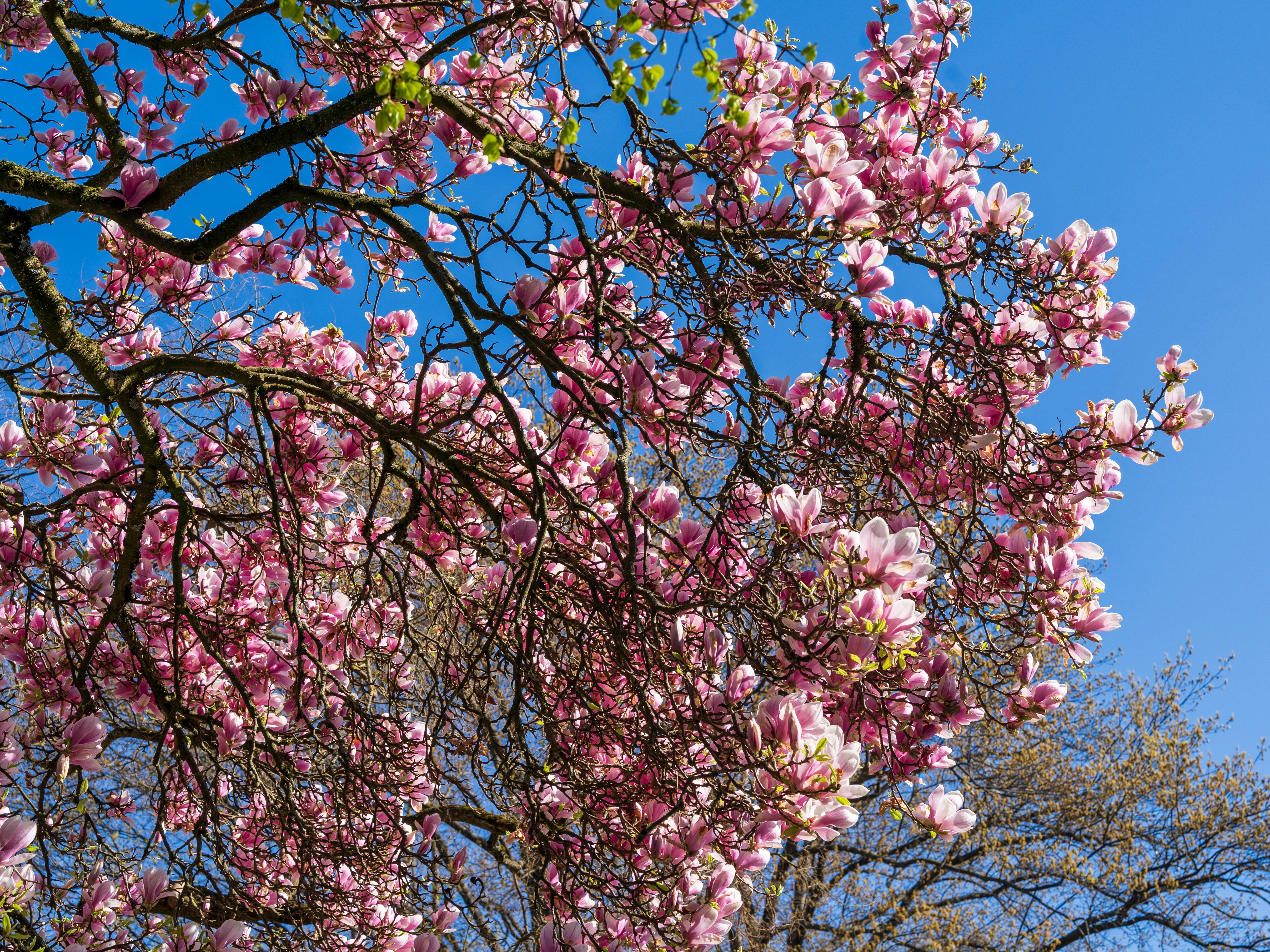 Photo by bangscreative