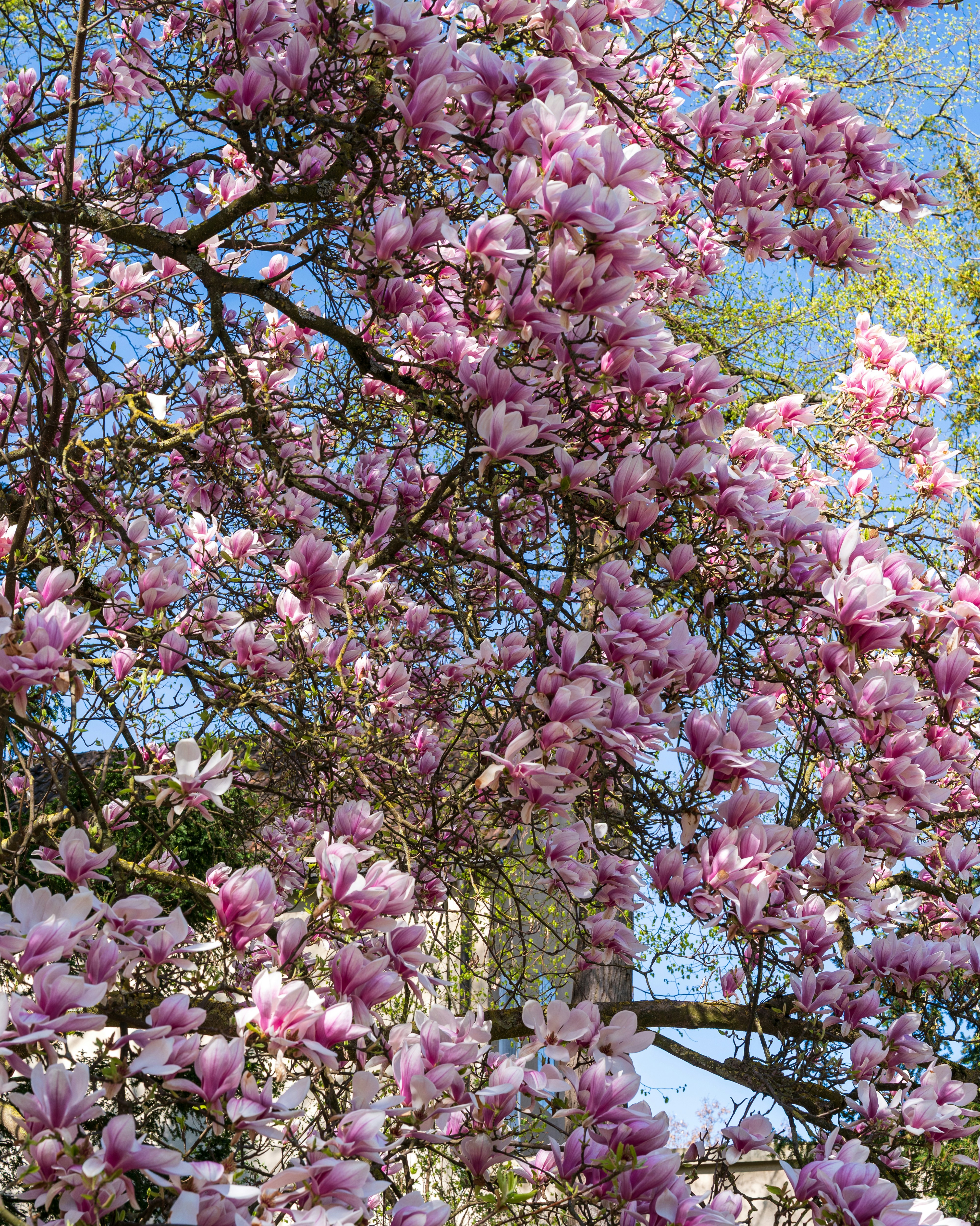 Photo by bangscreative