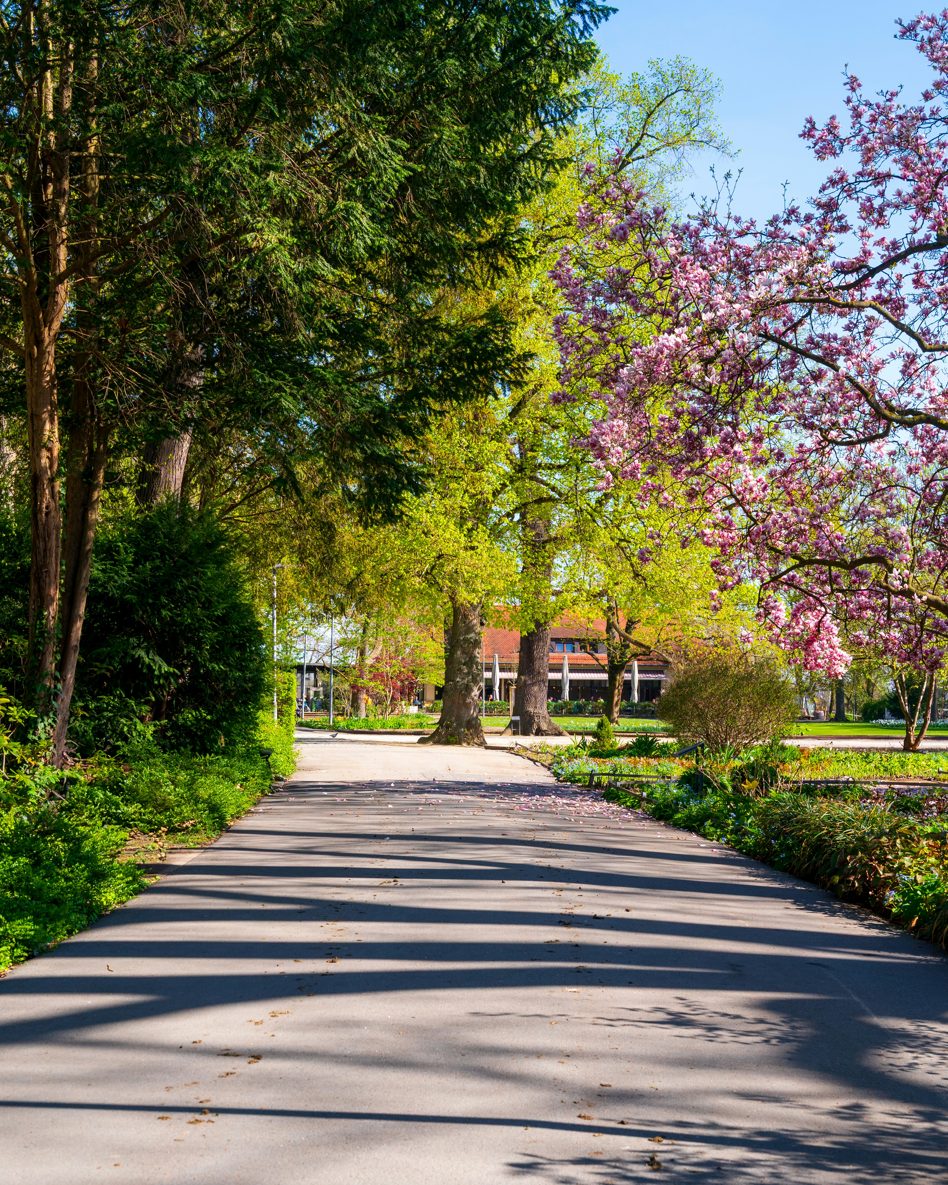 Photo by bangscreative