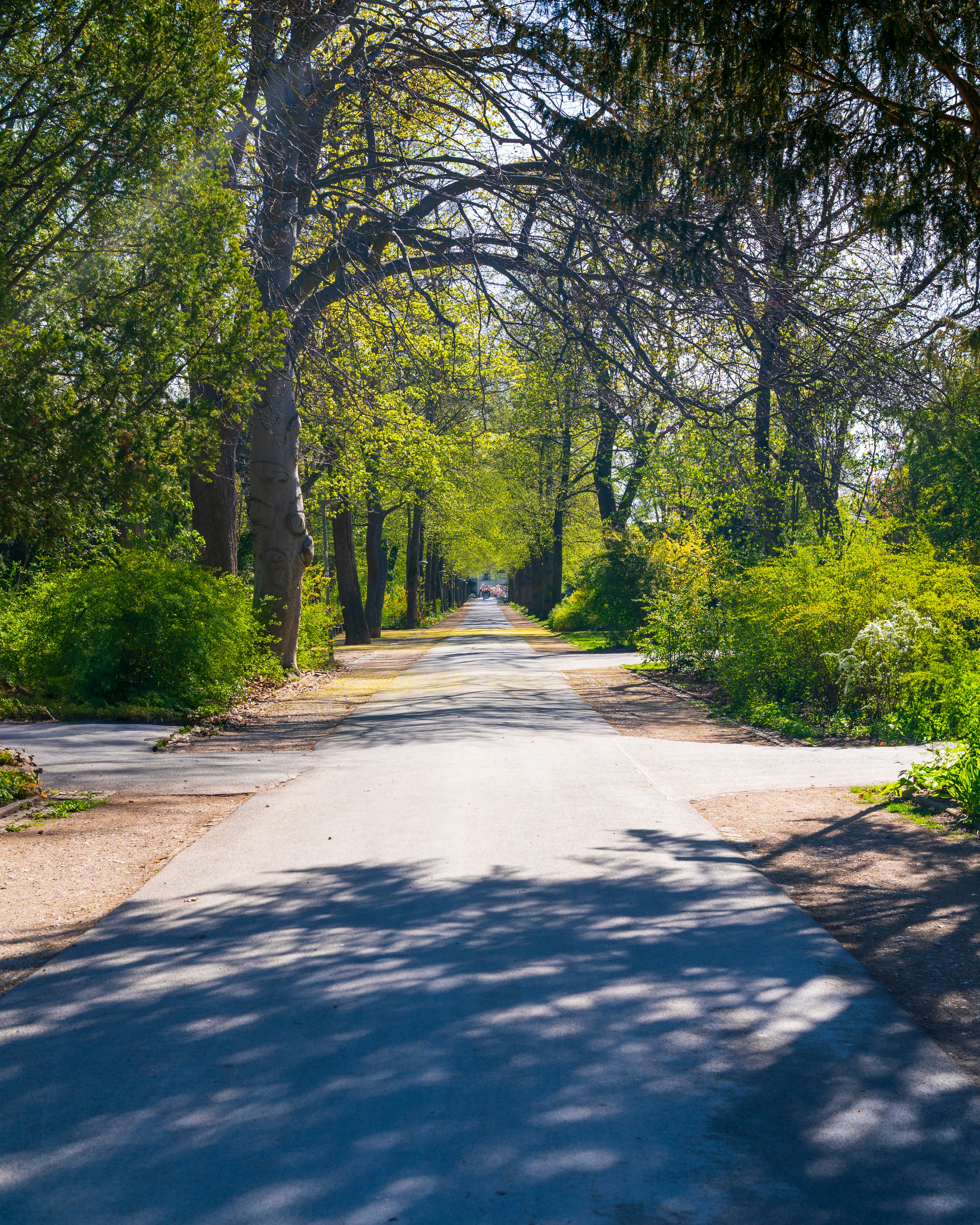 Photo by bangscreative