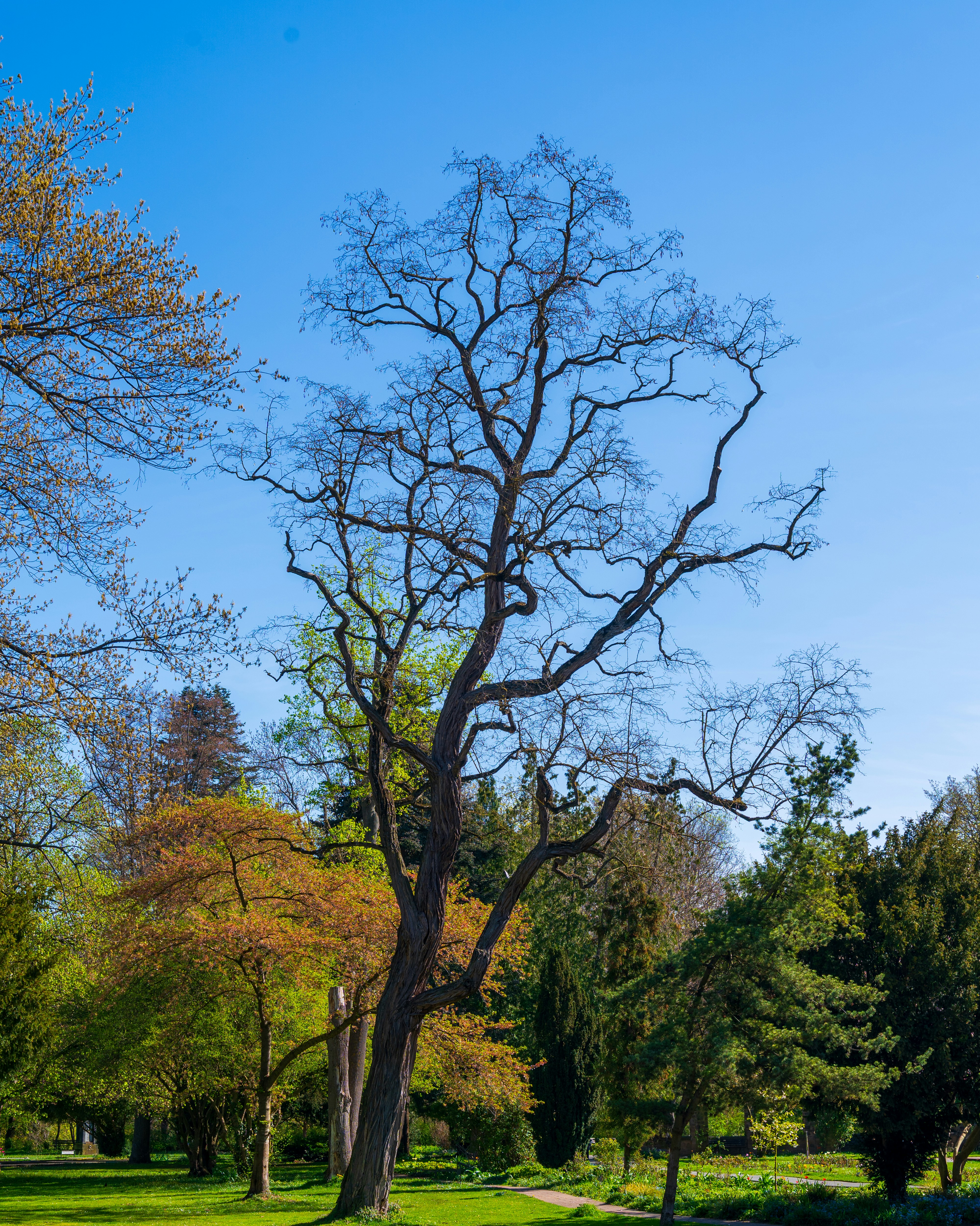 Photo by bangscreative