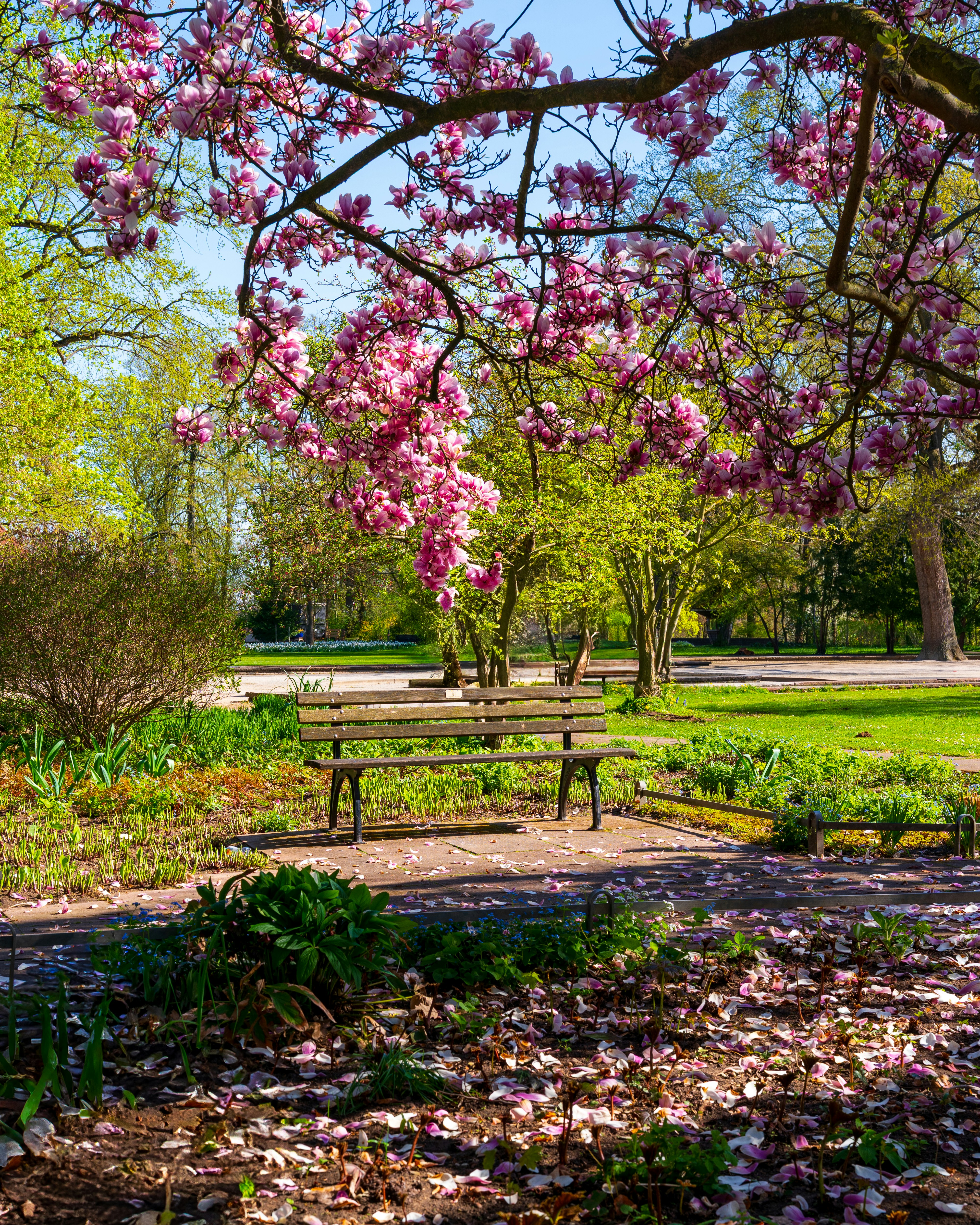 Photo by bangscreative