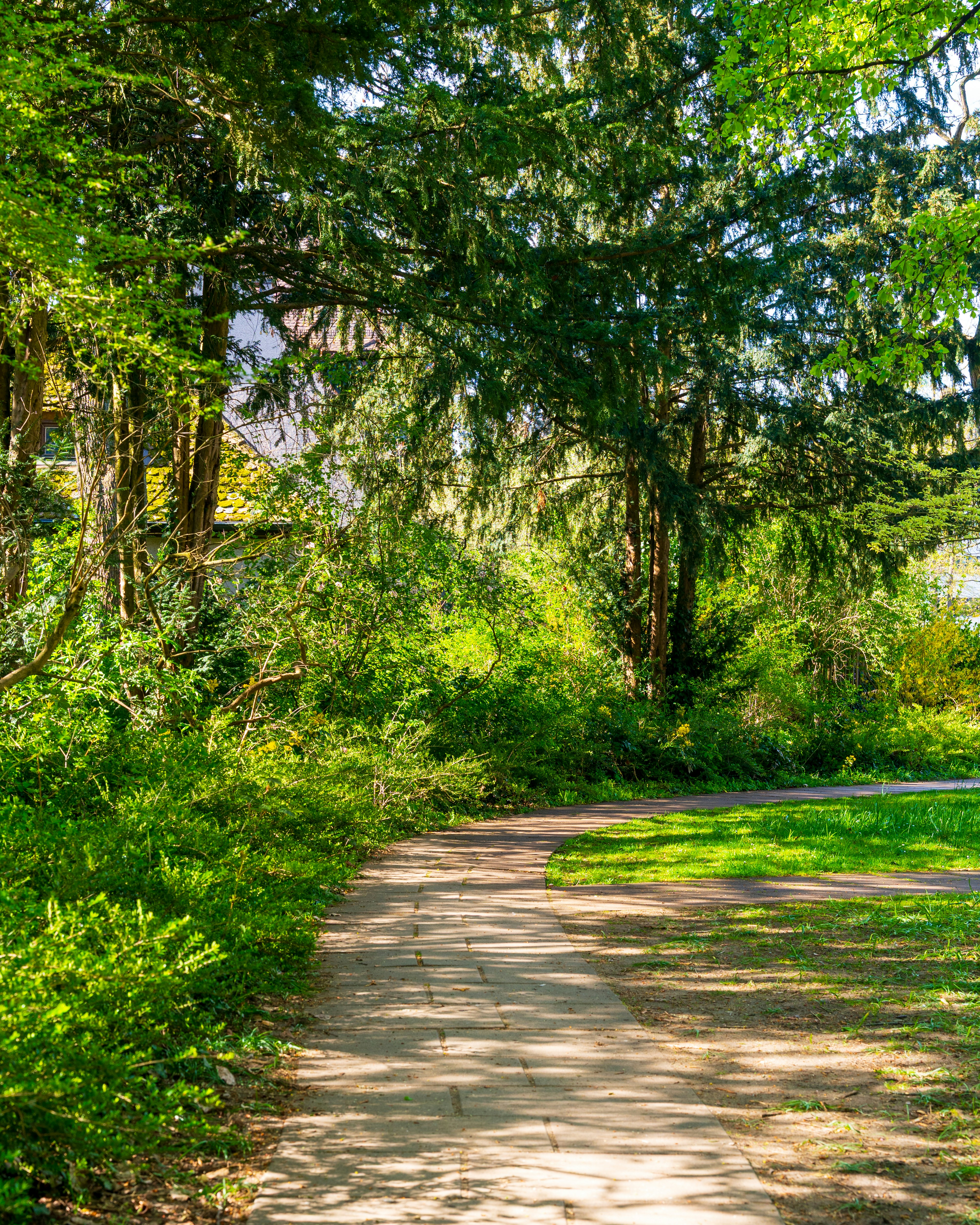 Photo by bangscreative