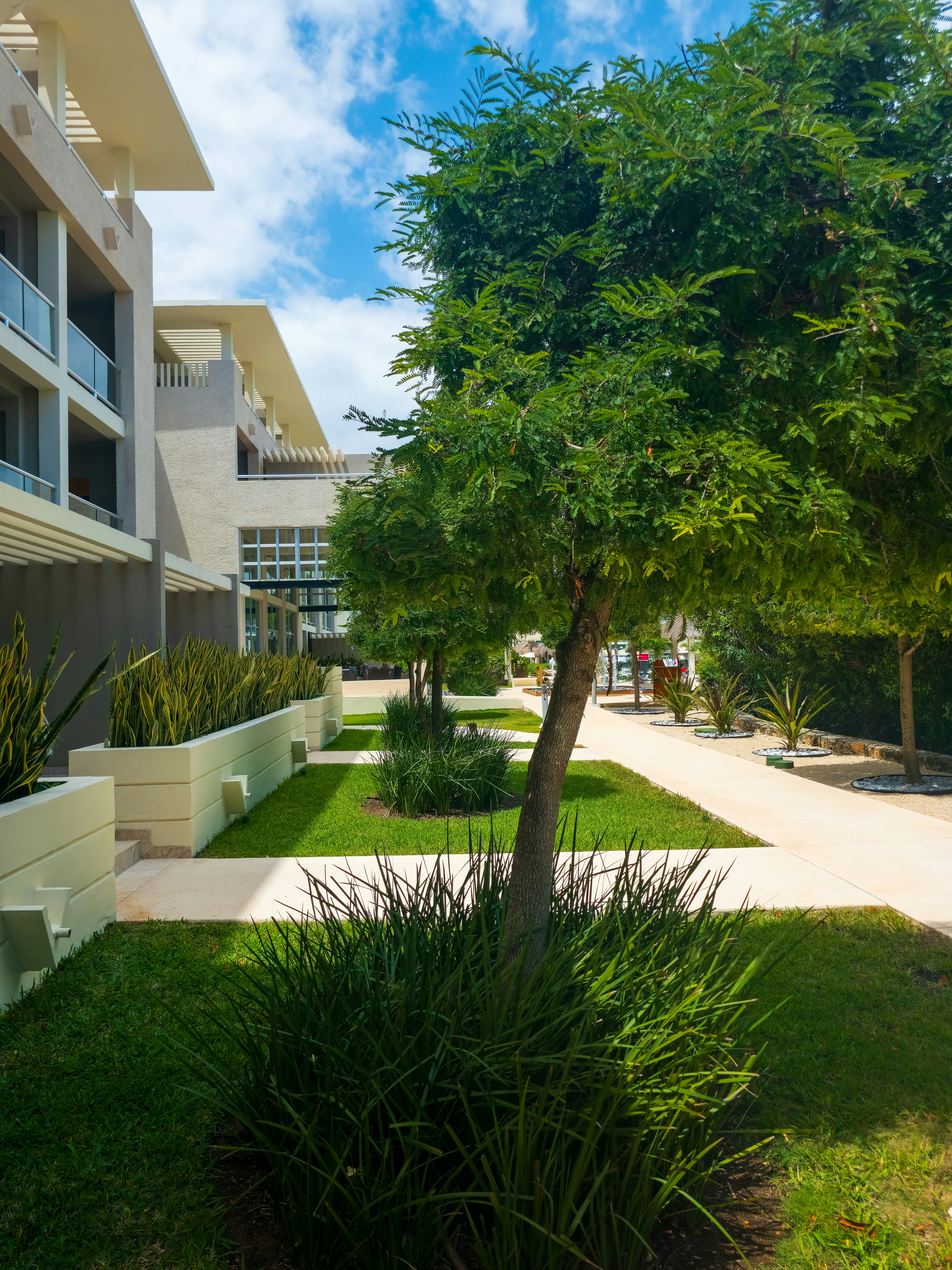 Photo by bangscreative