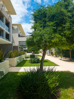 Modern buildings are nestled among lush greenery.