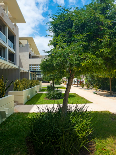 Modern buildings are nestled among lush greenery.
