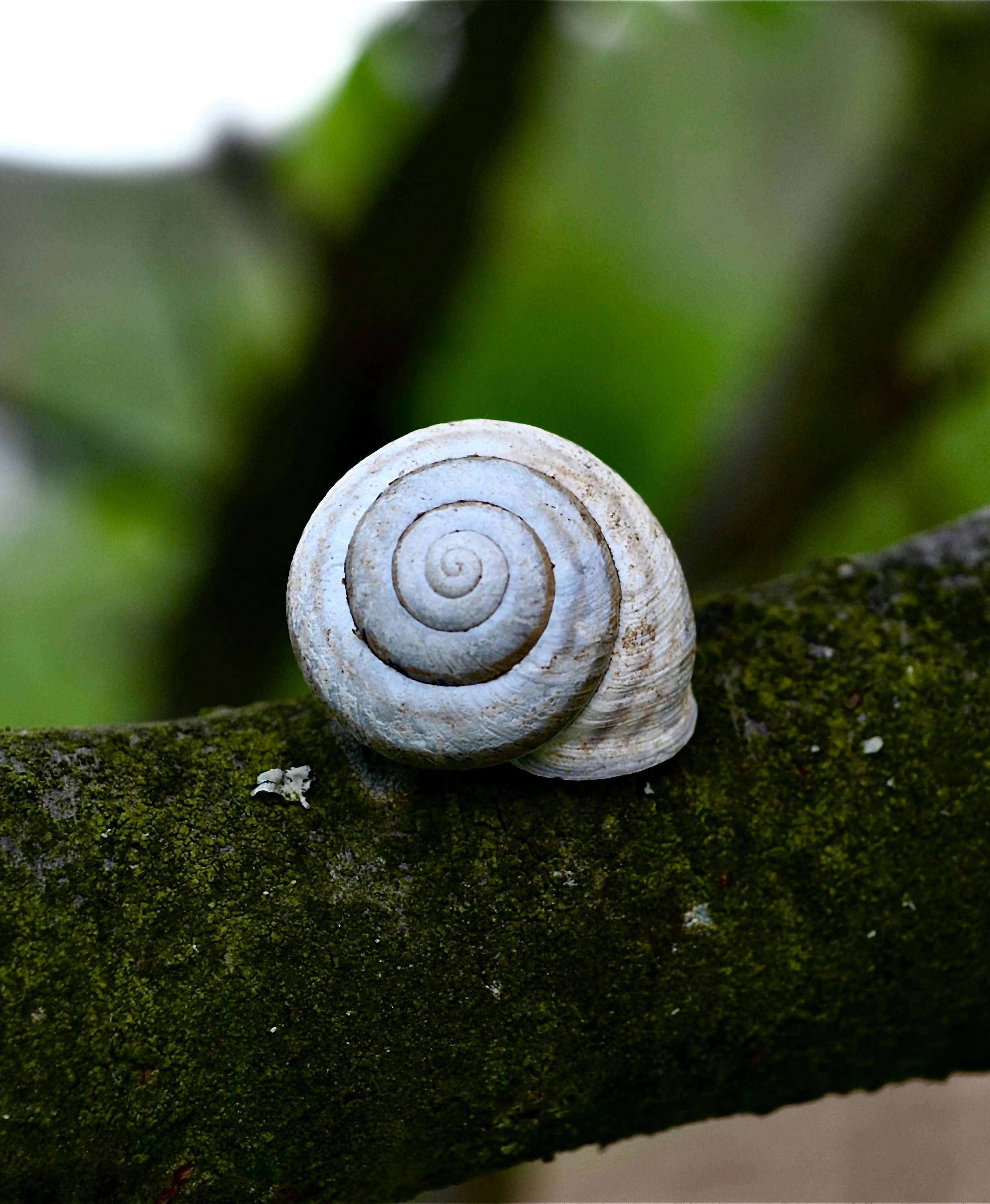 Photo by iamrifathus