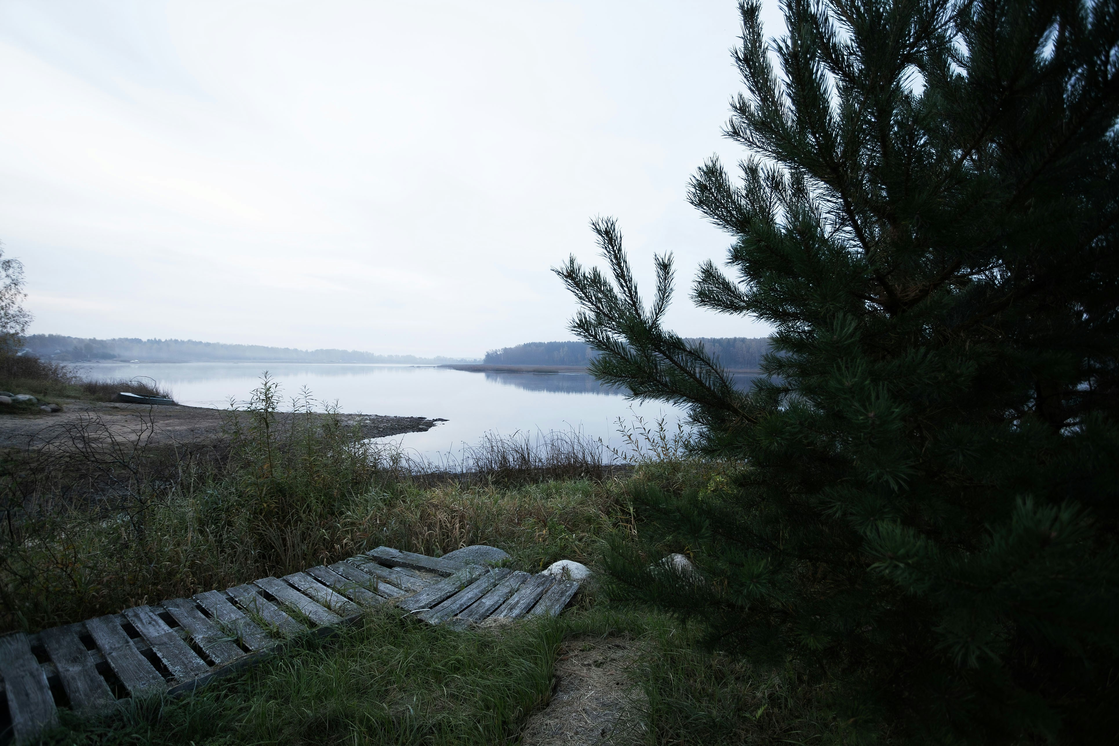 Photo by belov7043