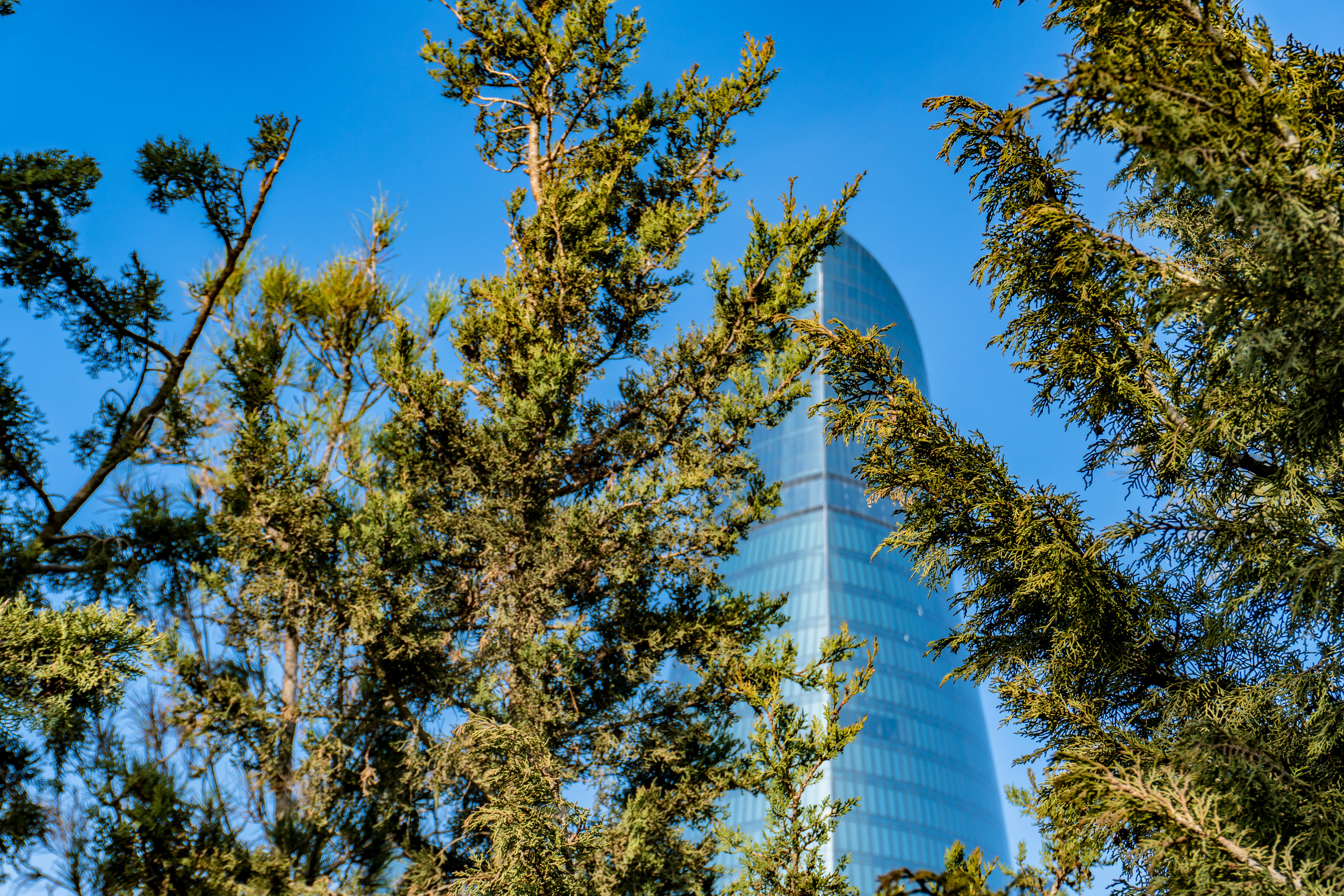 Photo by zulfugarkarimov