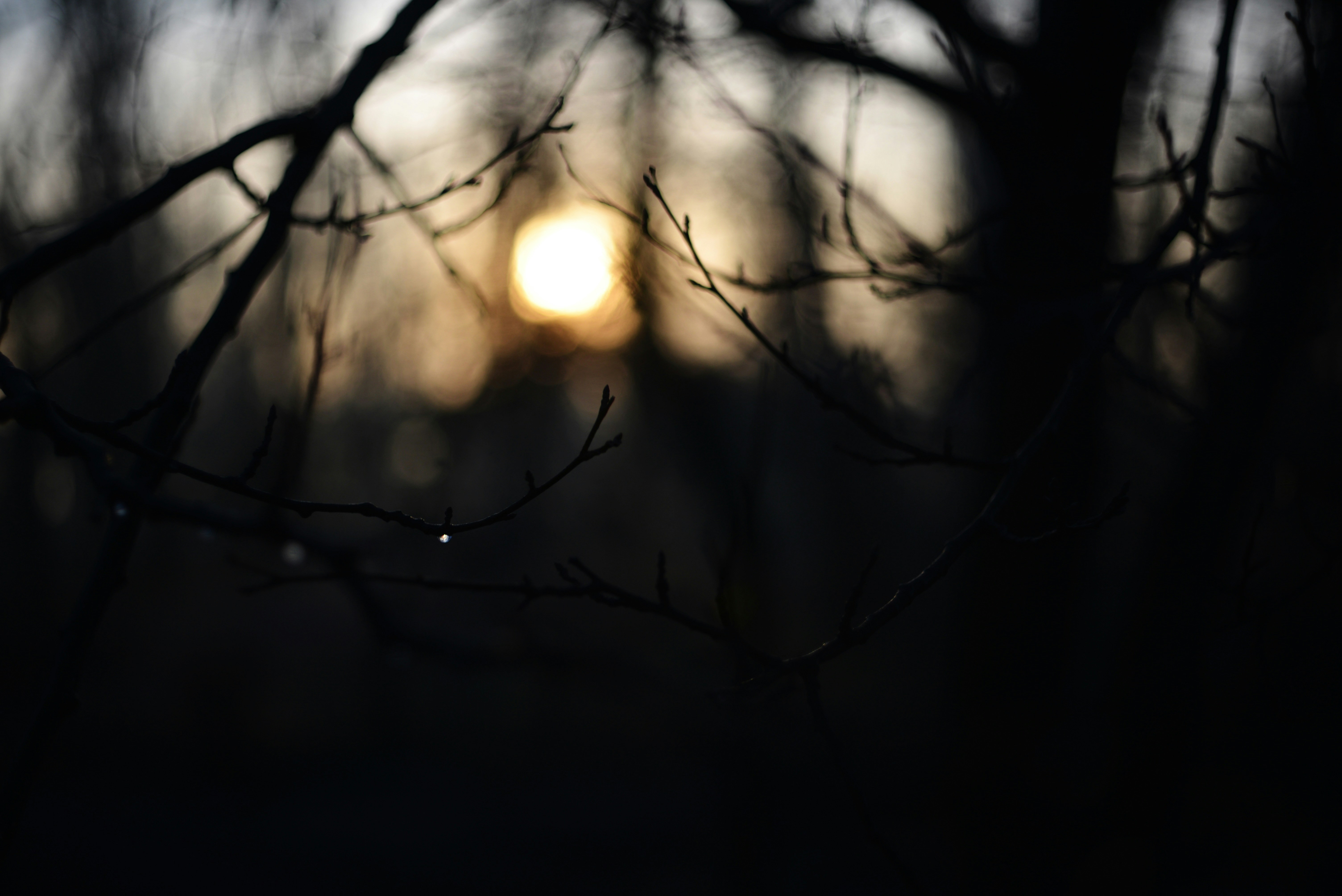 Photo by cherstve_pechivo