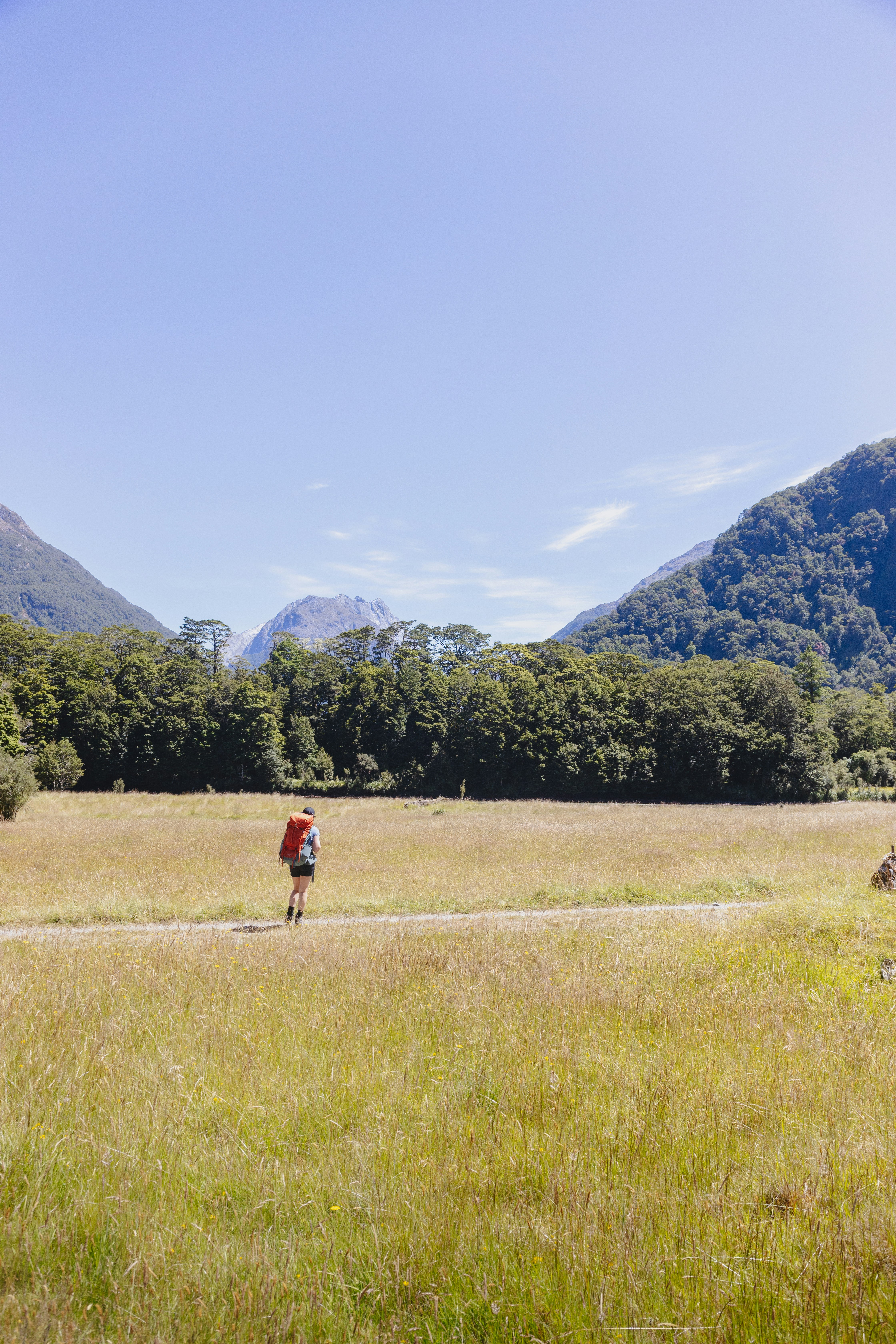 El excursionista camina a través de un campo de hierba en un día soleado.