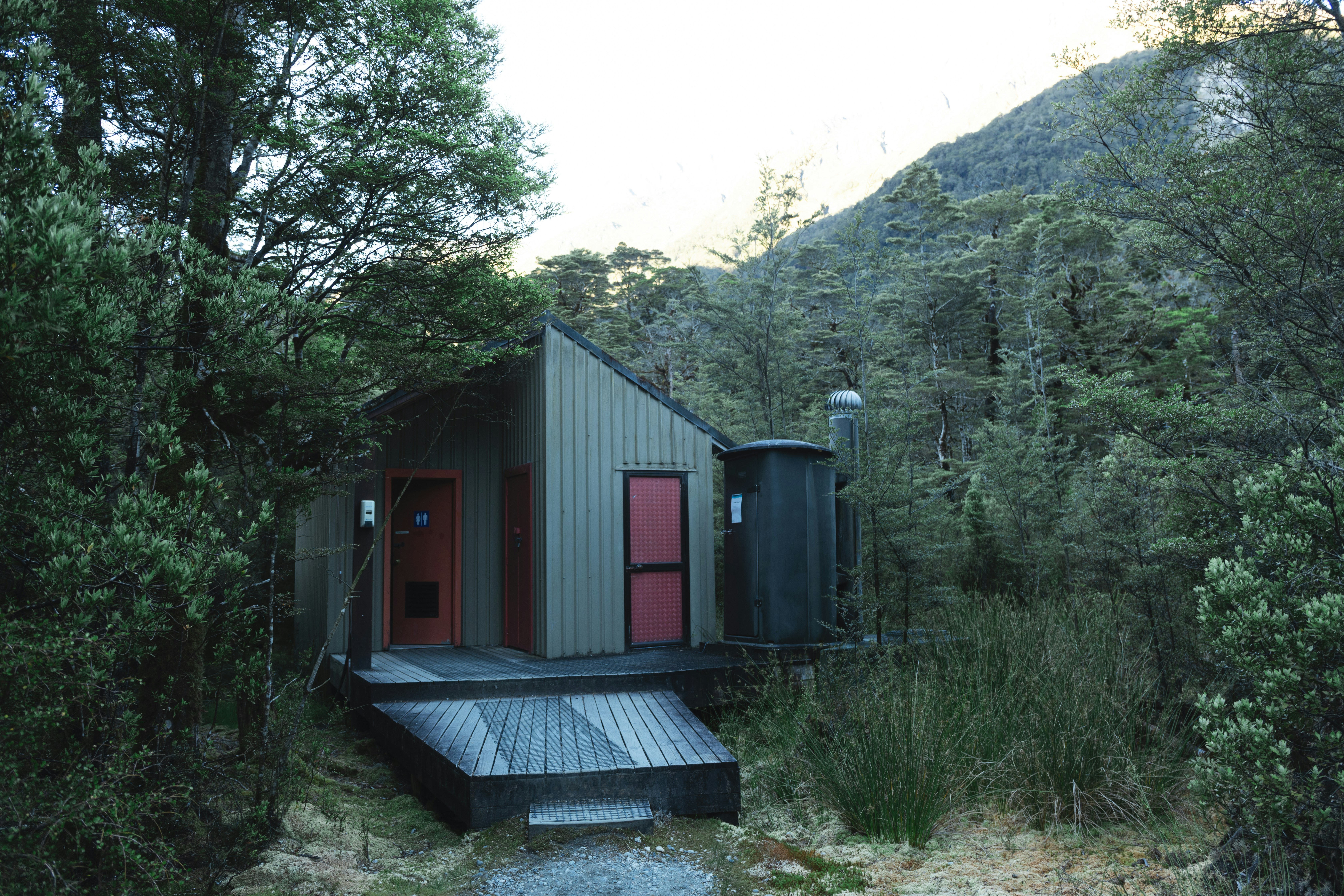 Una cabaña se encuentra enclavada en un denso bosque.