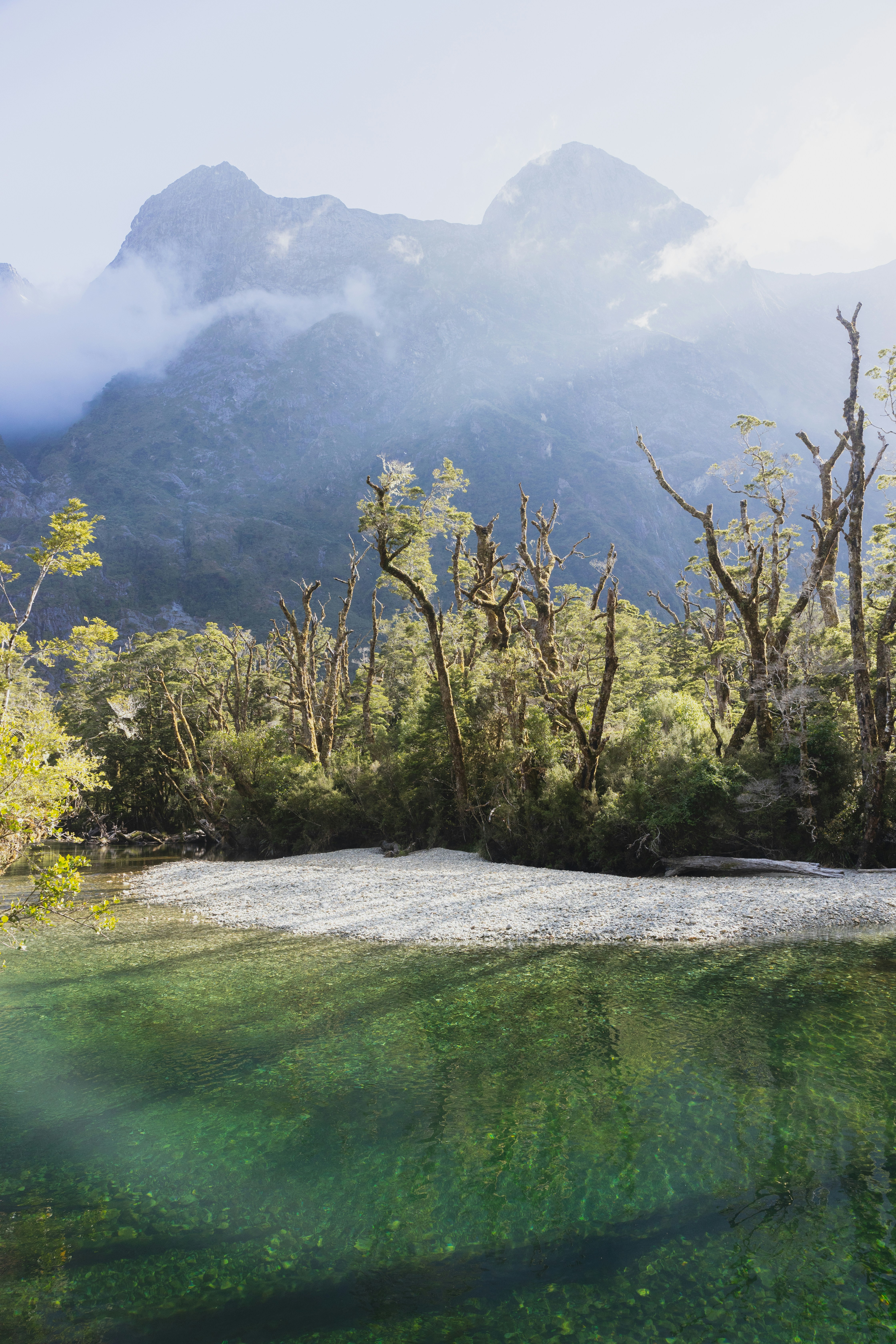 Vista a la montaña con árboles y un lago claro.