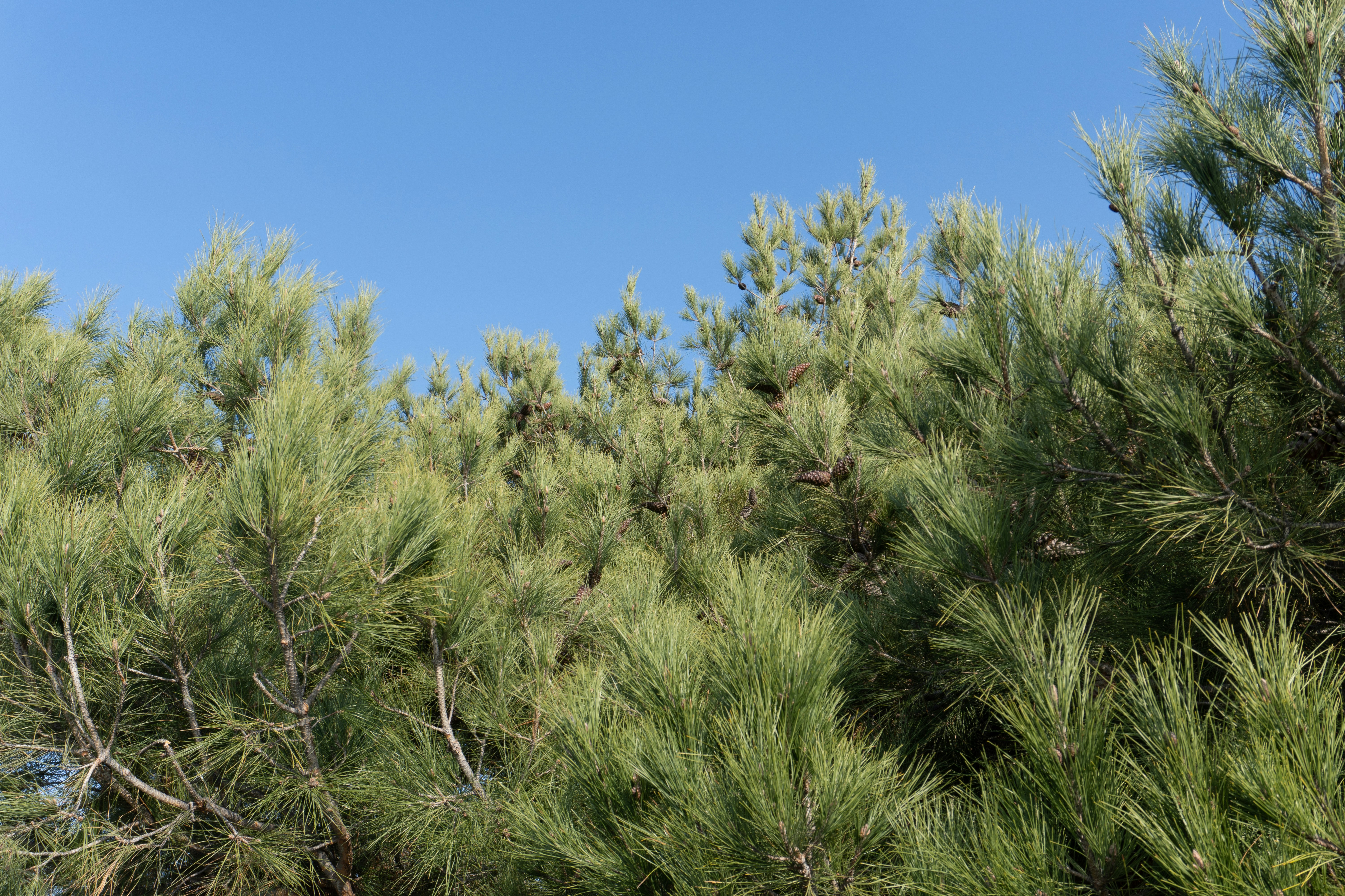 Photo by zulfugarkarimov