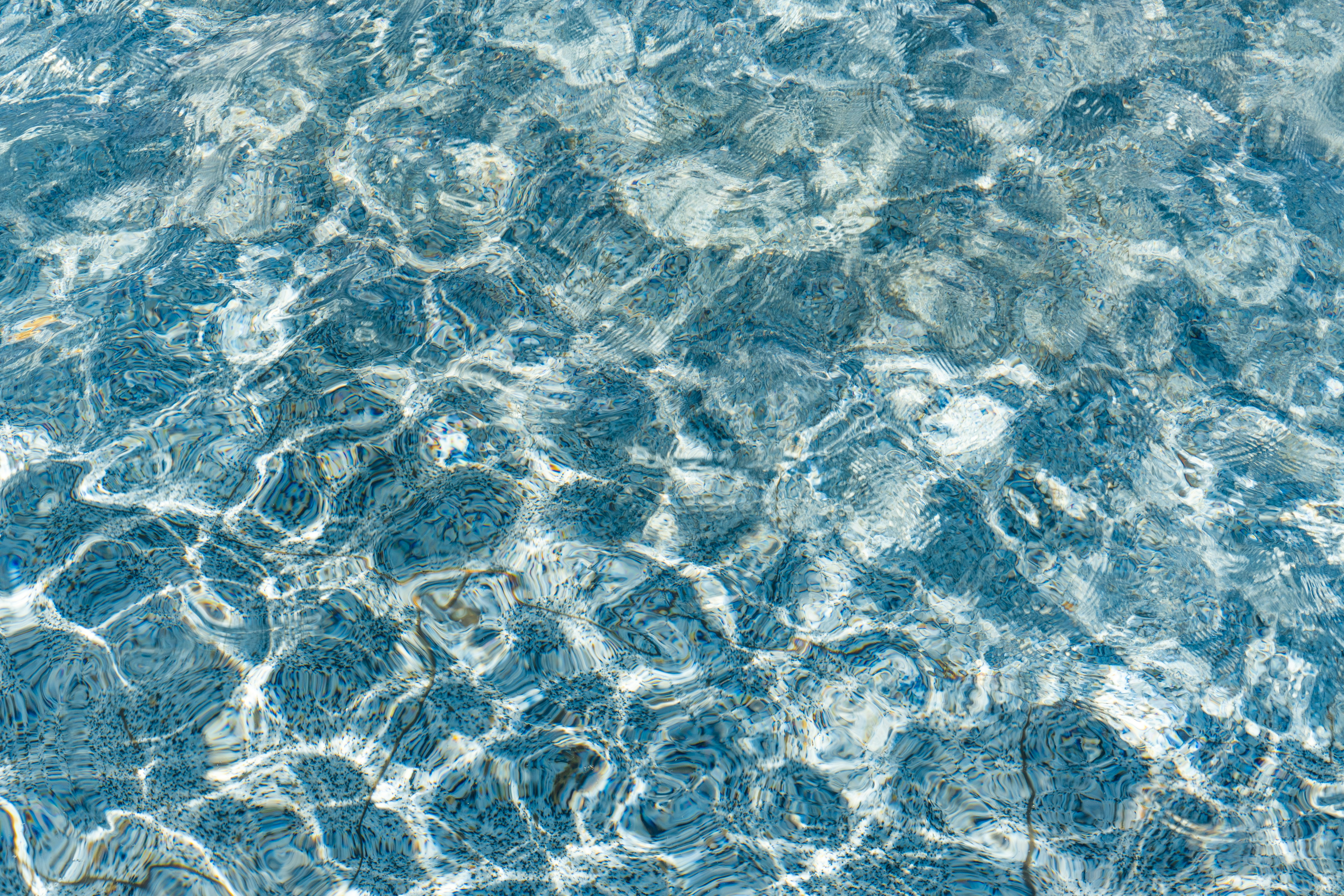 Clear, rippling water reflects sunlight.