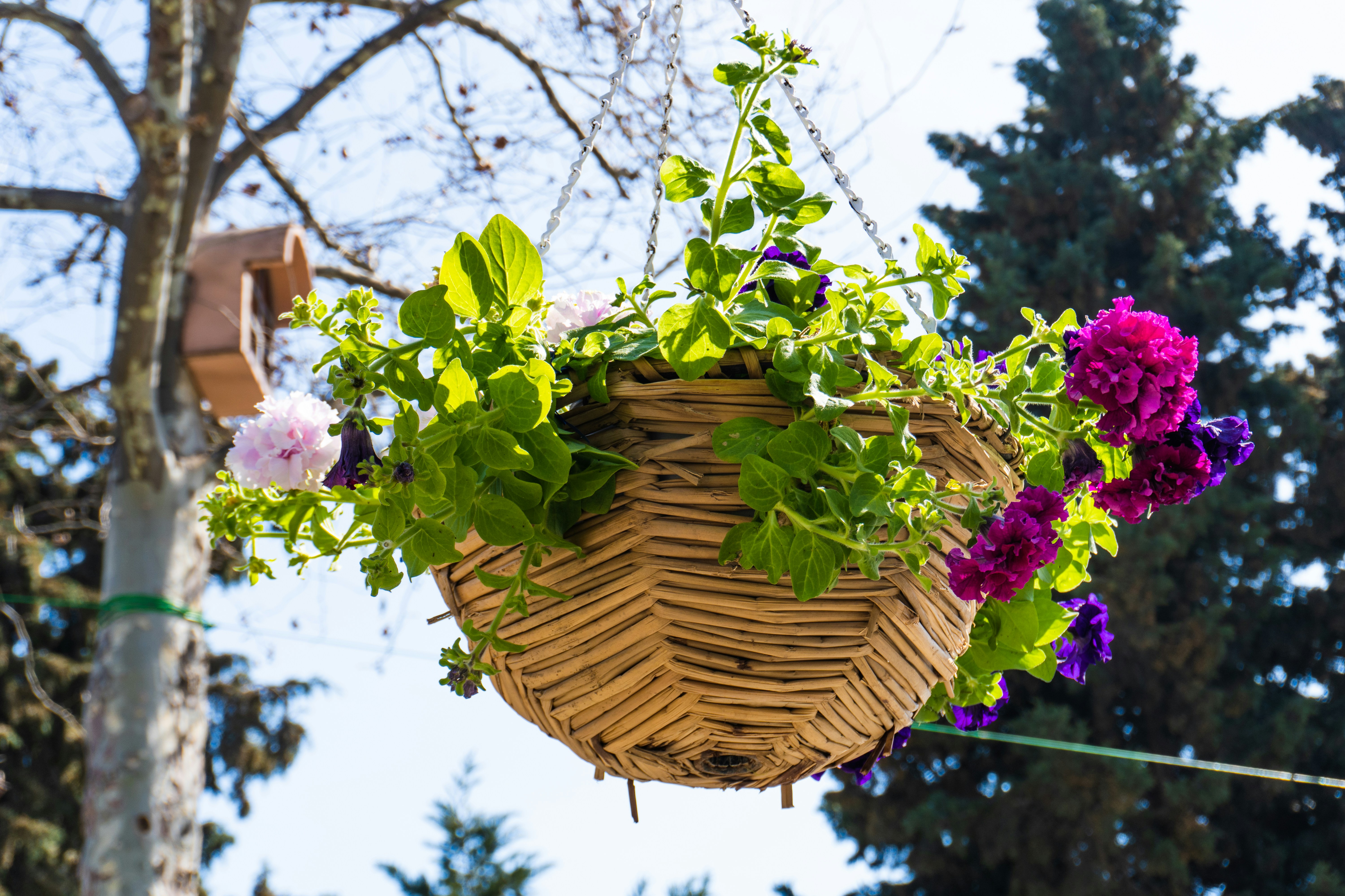 Photo by zulfugarkarimov